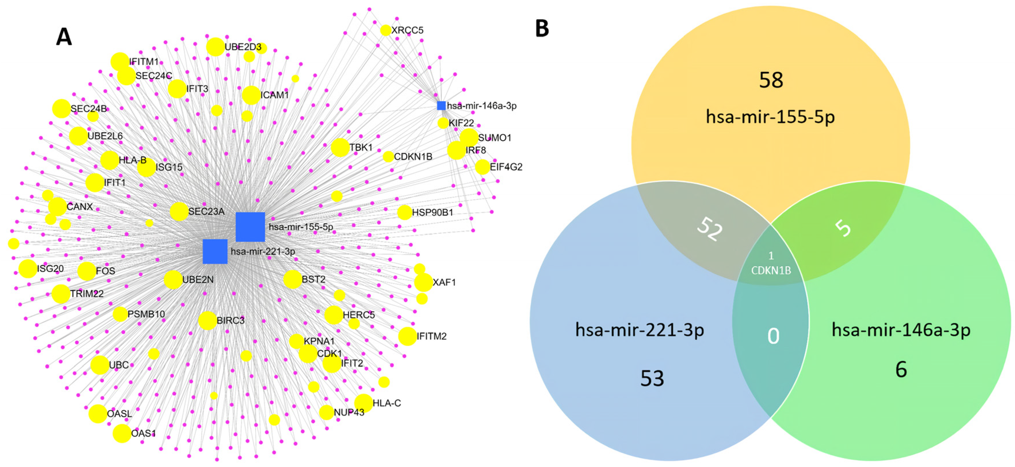 Diagnostics 13 00133 g005 Diagnostics 13 00133 g005