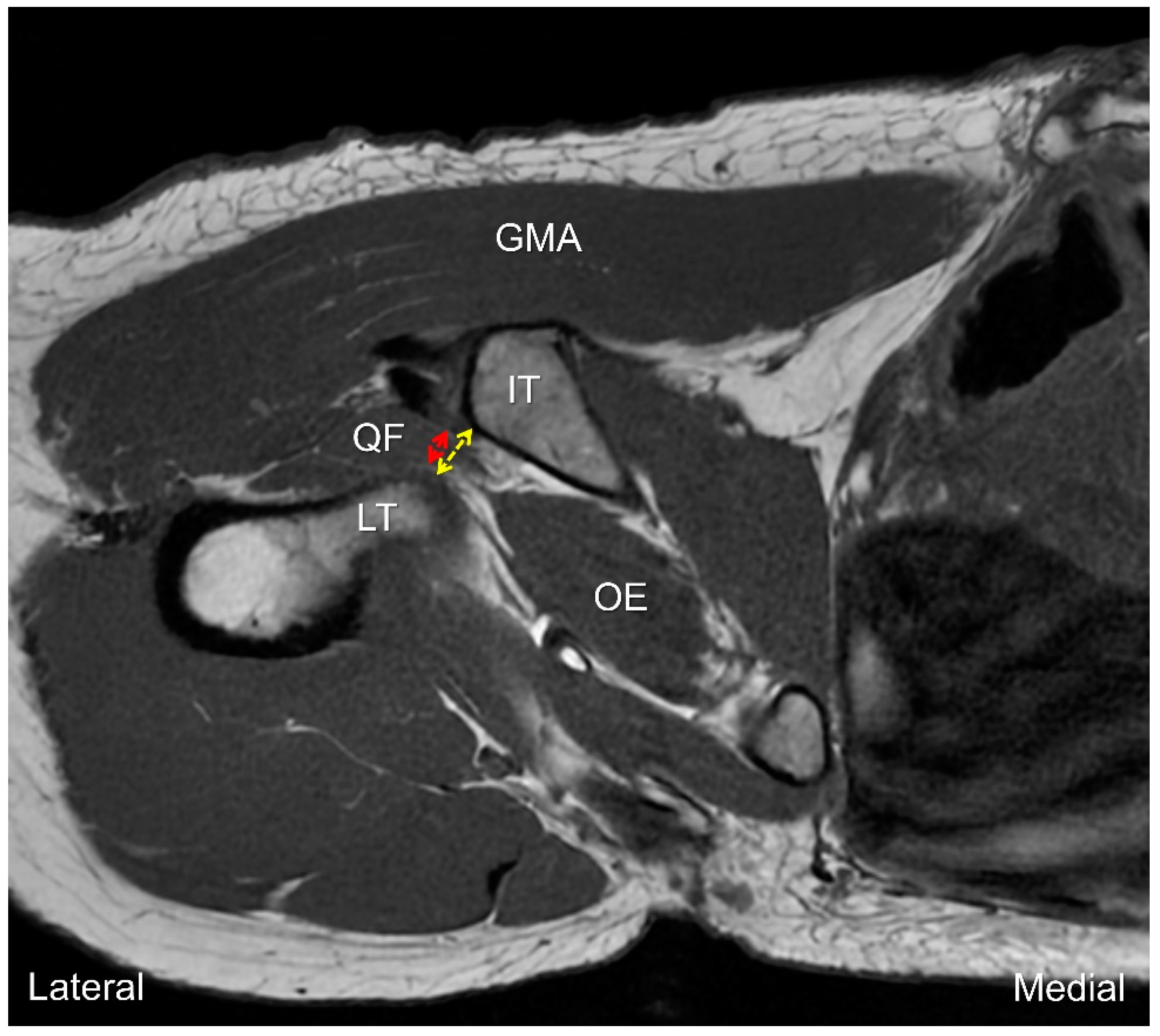 Diagnostics 13 00139 g007