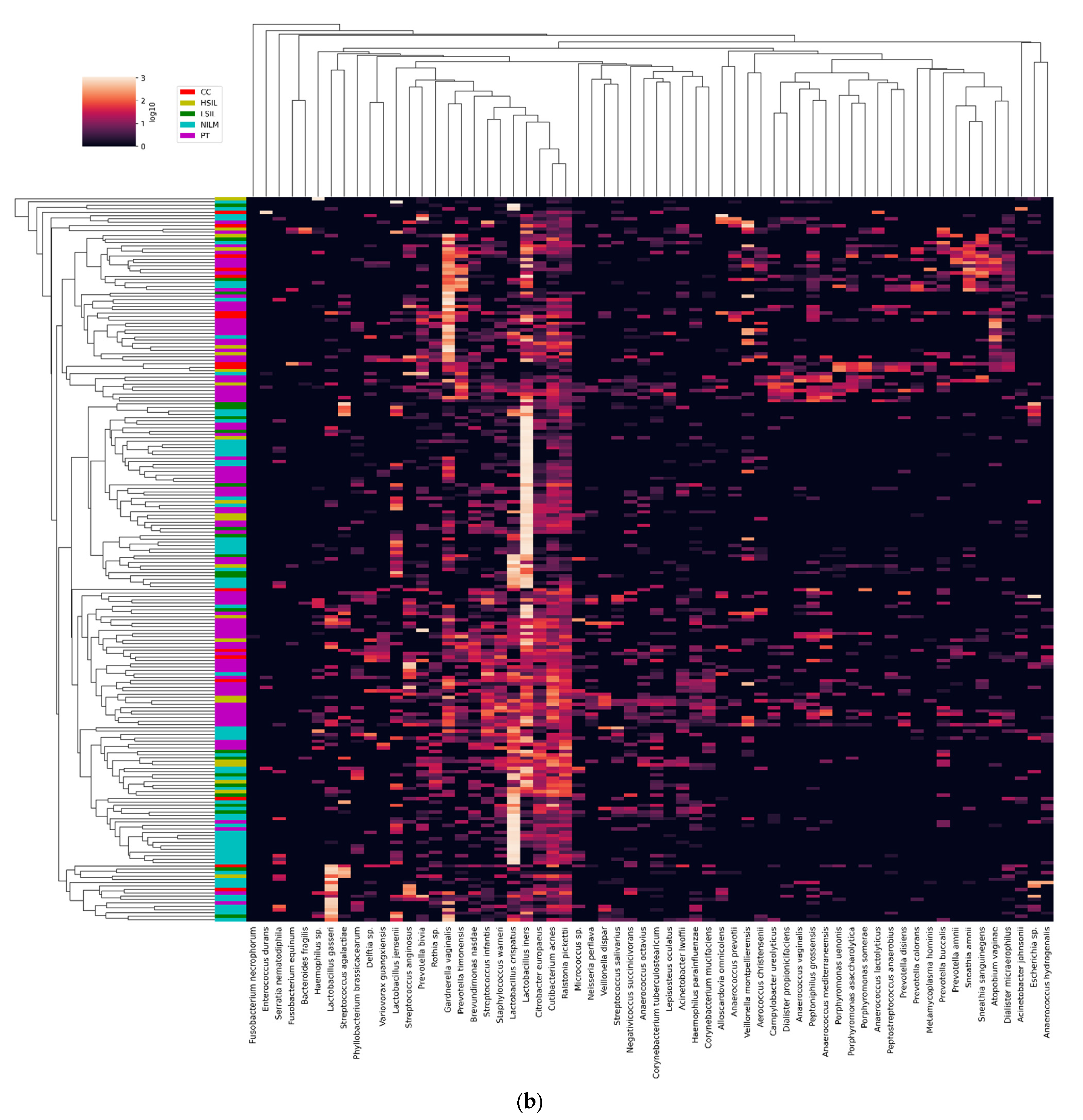 Diagnostics 13 00140 g004b