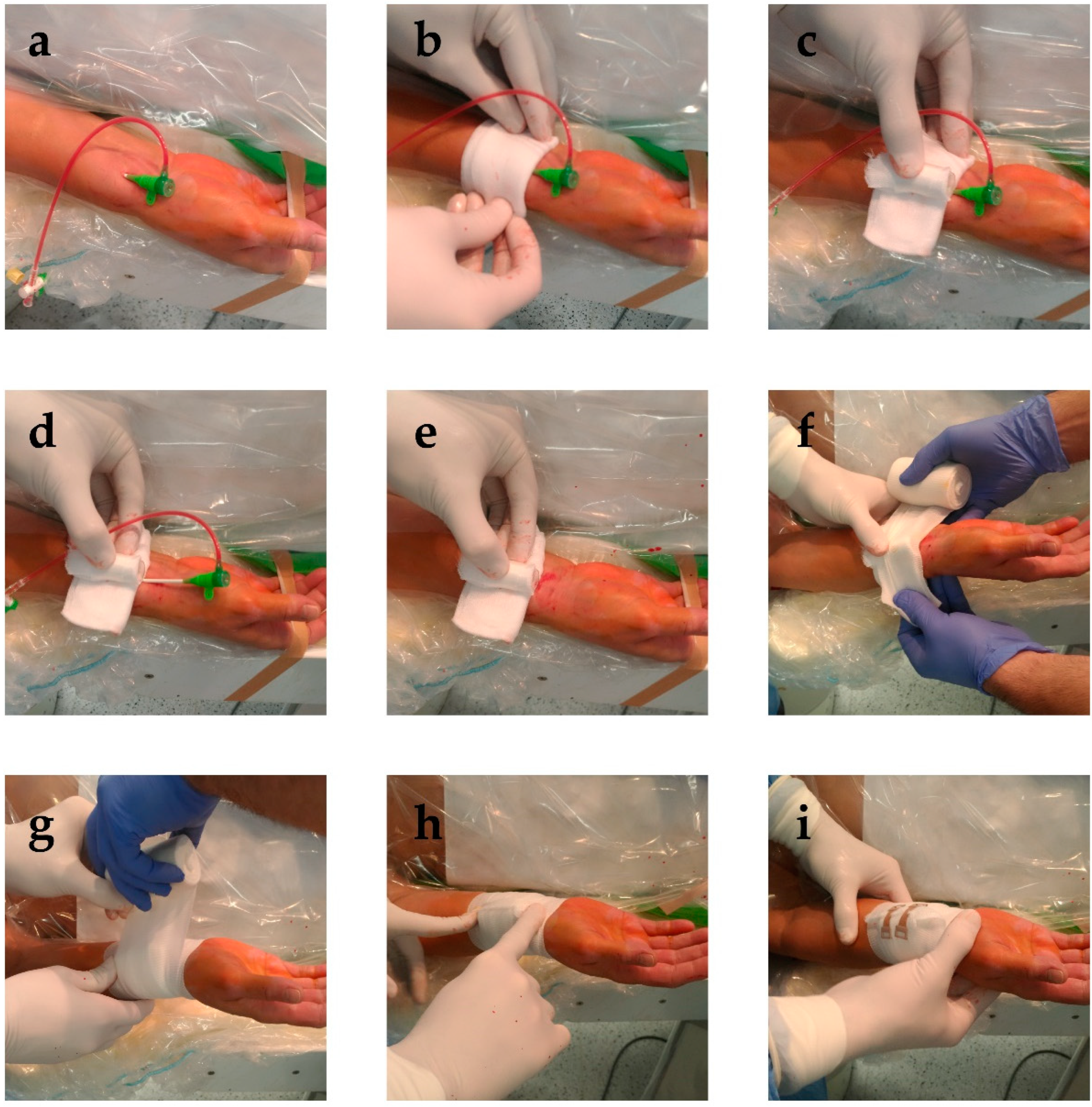 Diagnostics 13 00143 g001