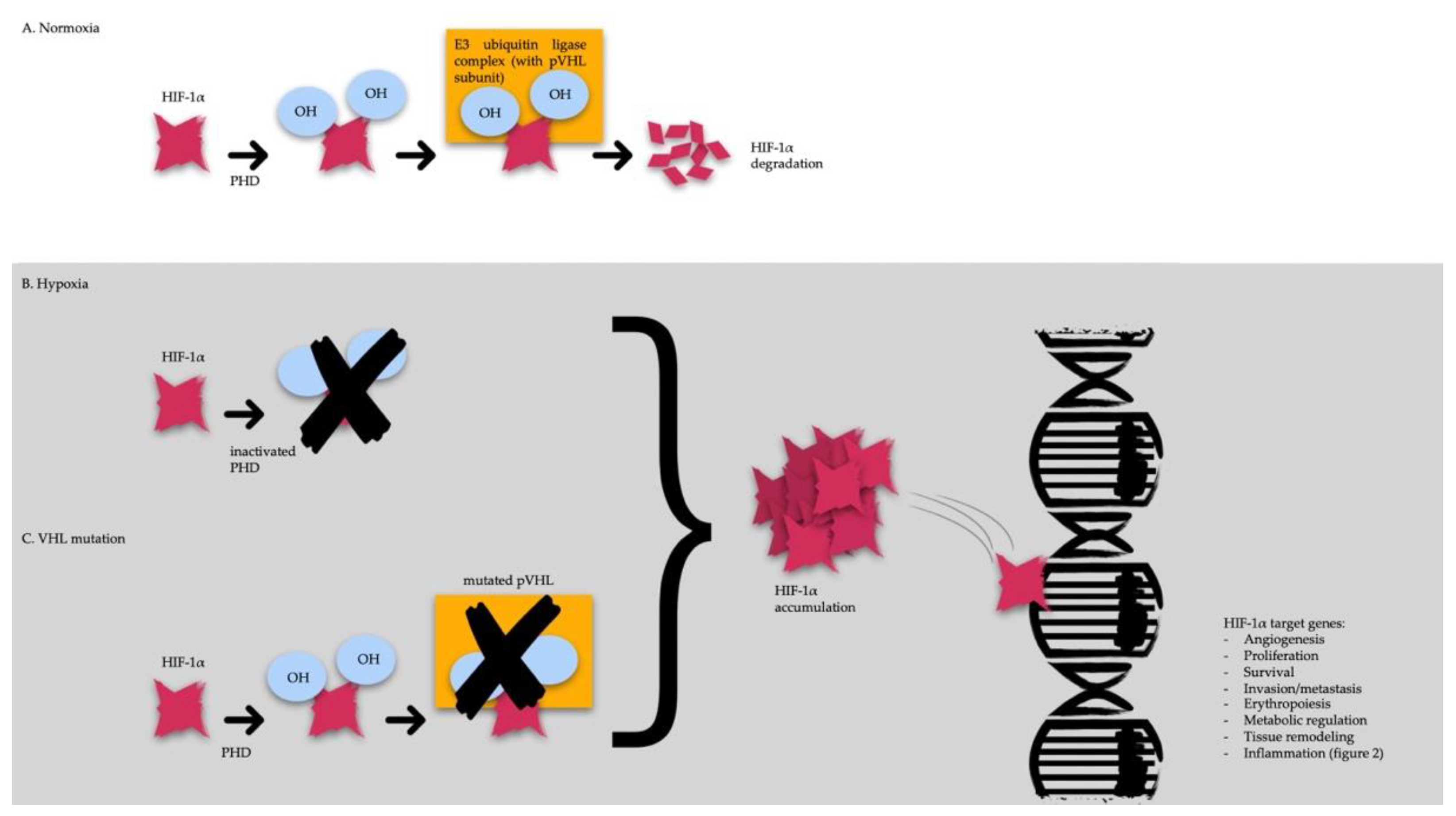 Diagnostics 13 00144 g001