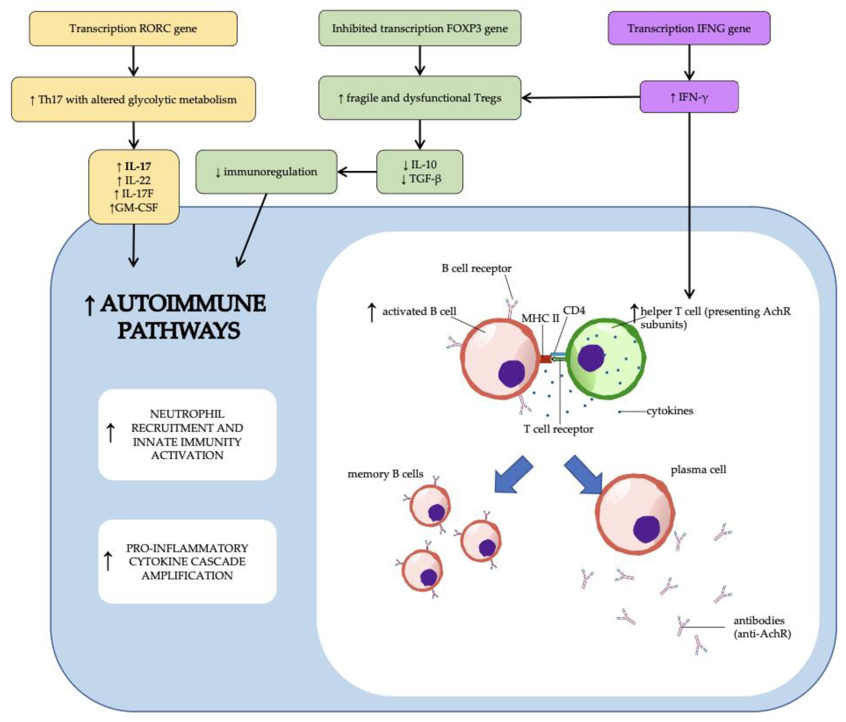Diagnostics 13 00144 g002