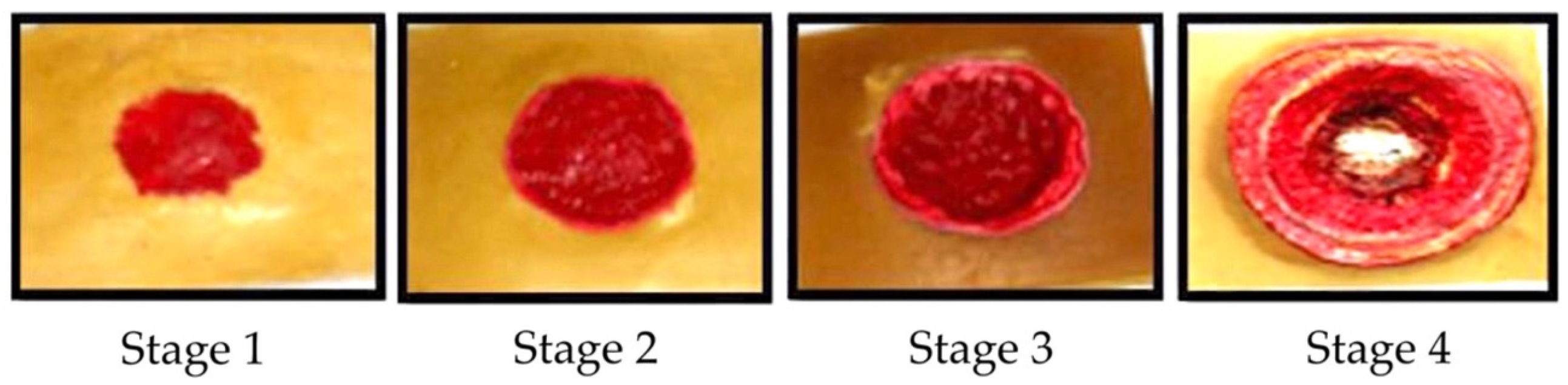 Diagnostics 13 00145 g001