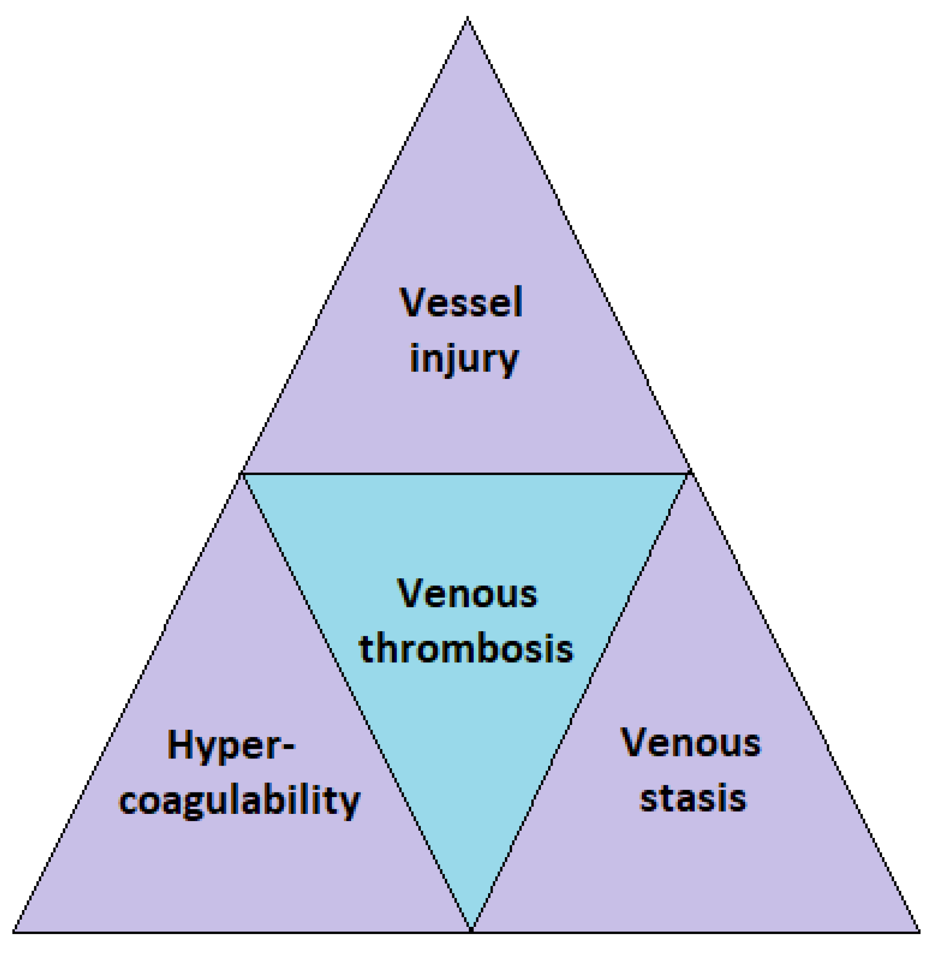 Diagnostics 13 00150 g001