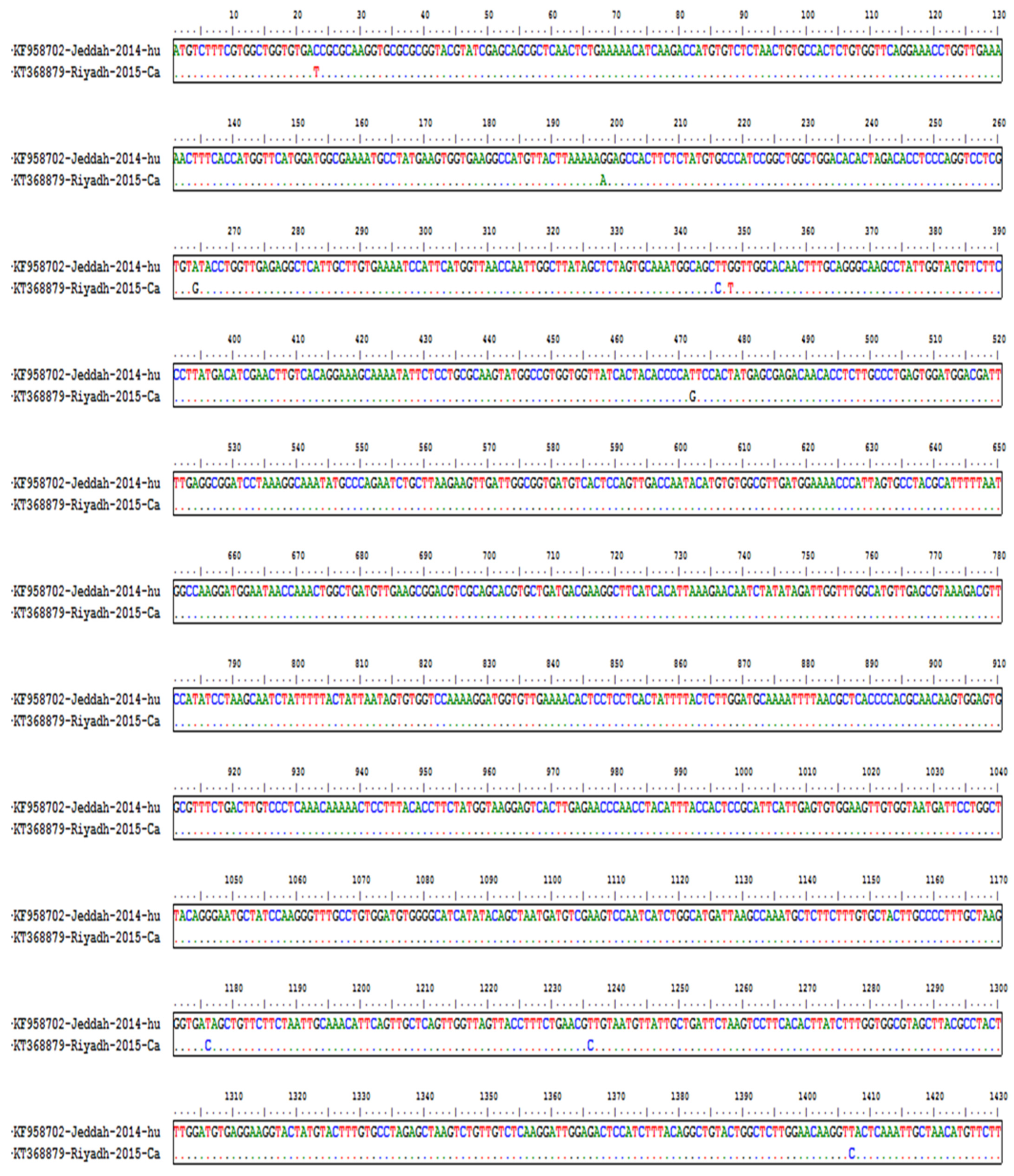 Diagnostics 13 00151 g001