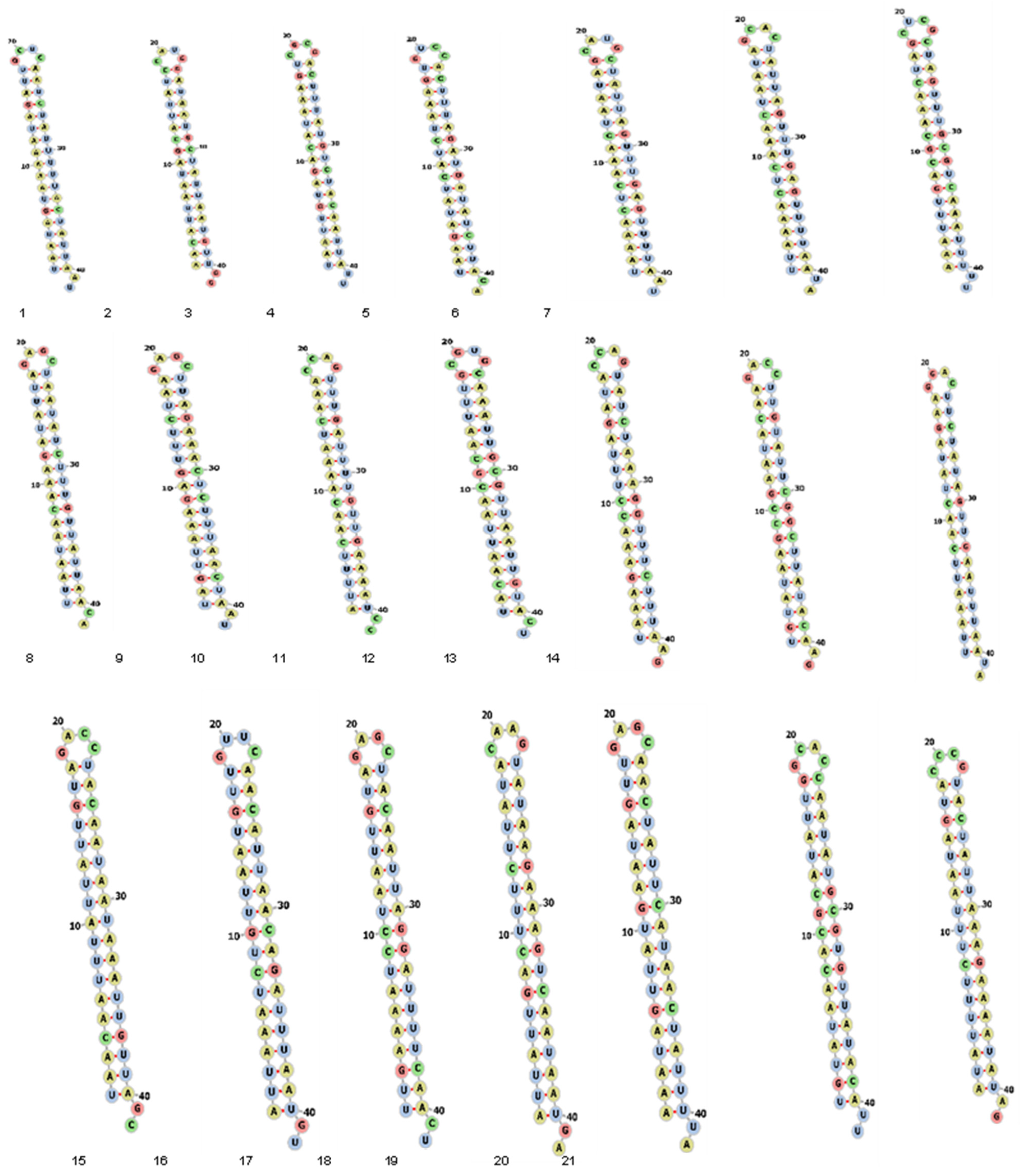 Diagnostics 13 00151 g006