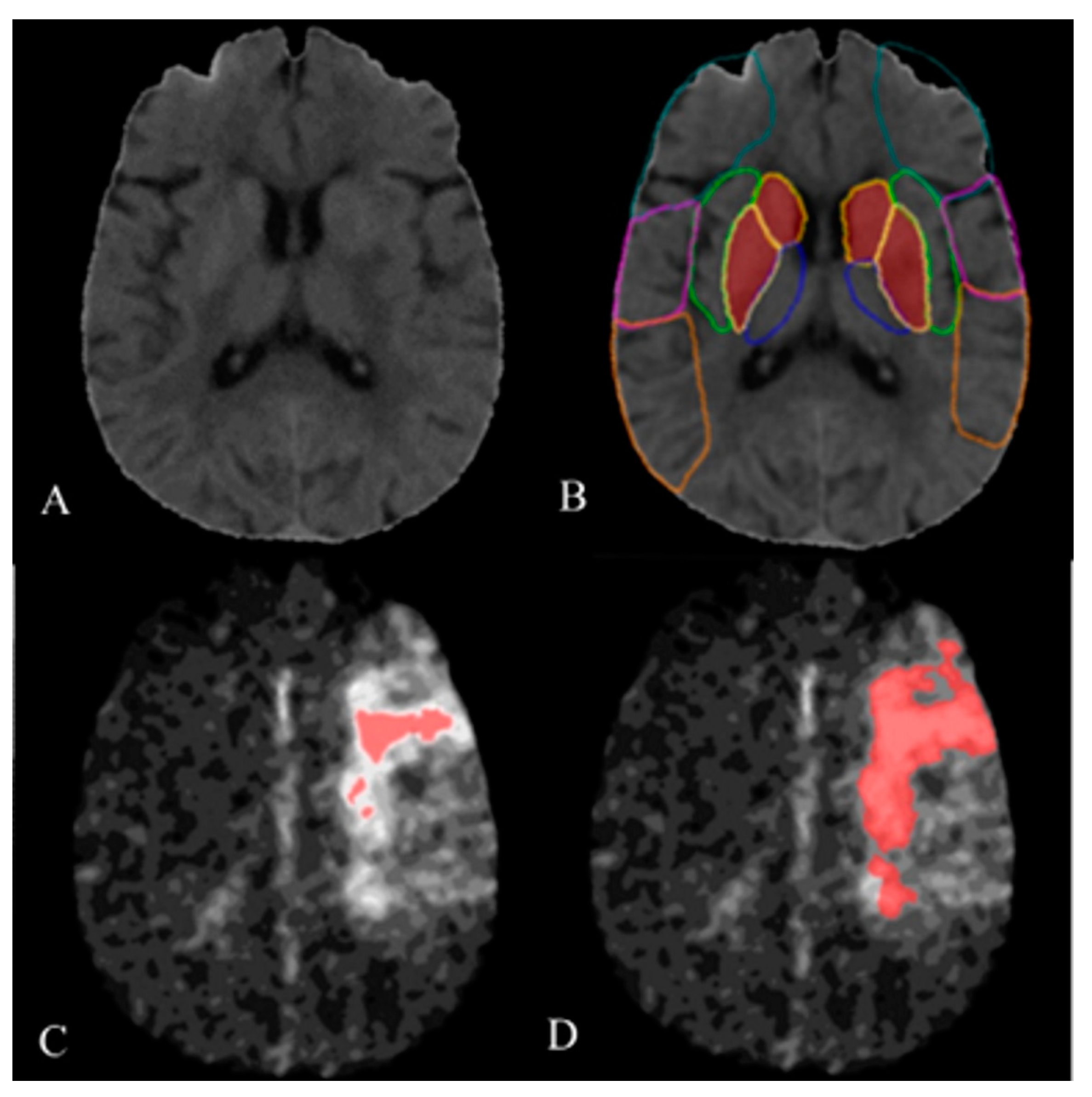 Diagnostics 13 00152 g004