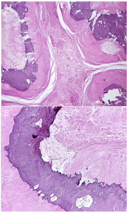 Diagnostics 13 00154 g004