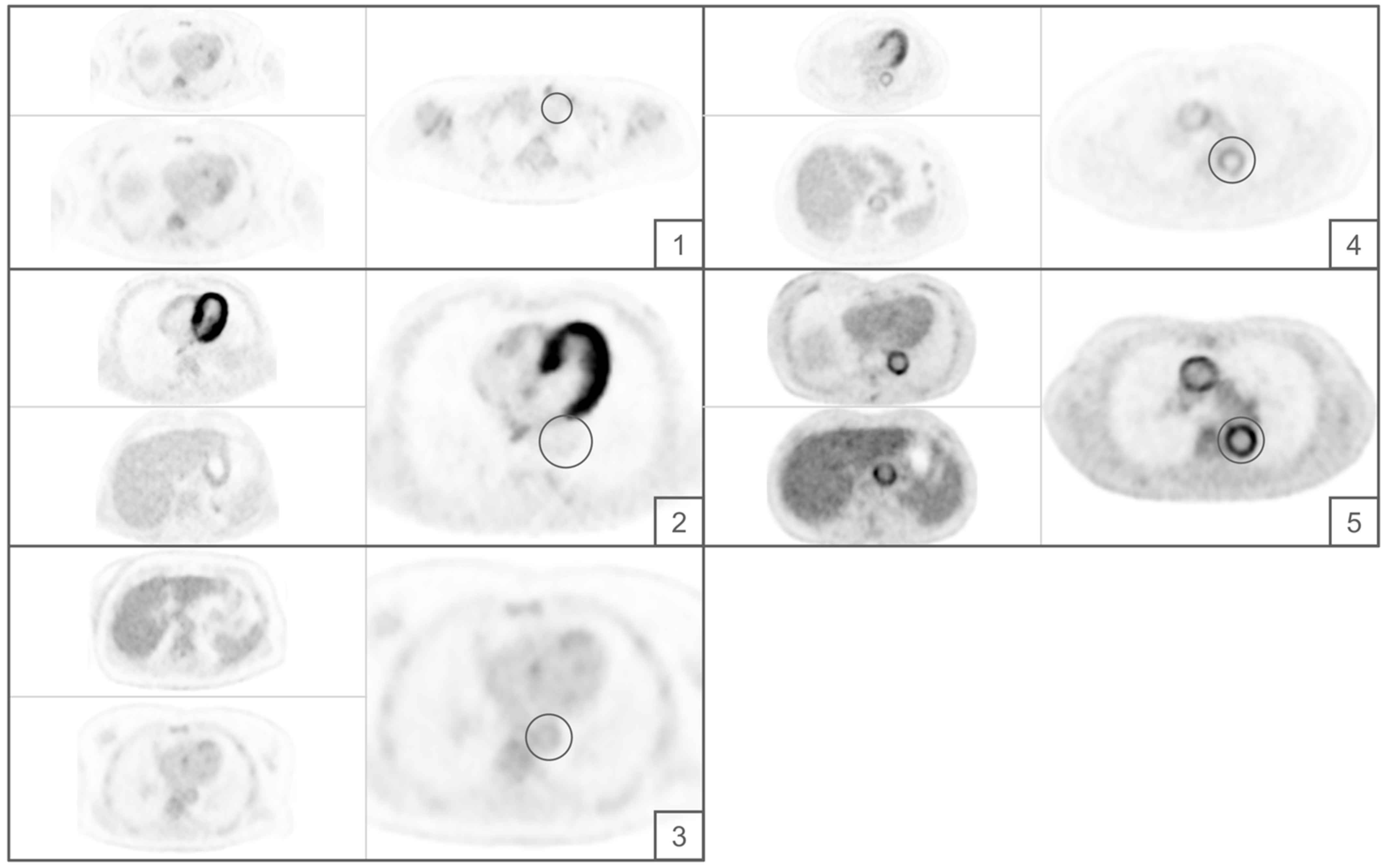 Diagnostics 13 00157 g001