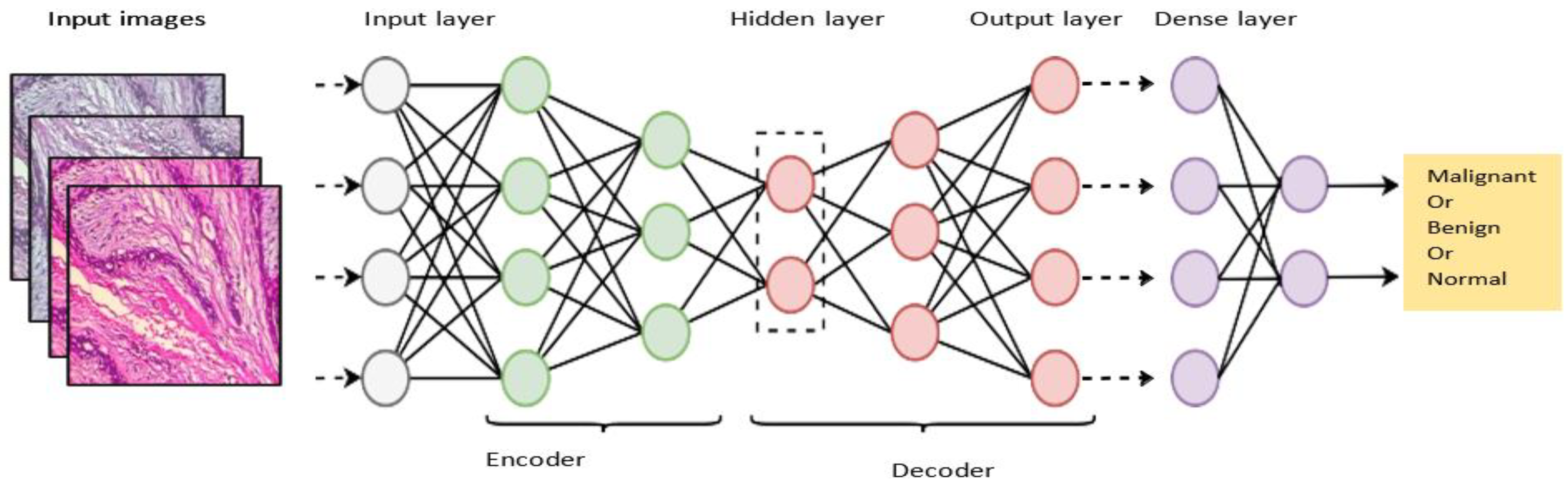 Diagnostics 13 00161 g002