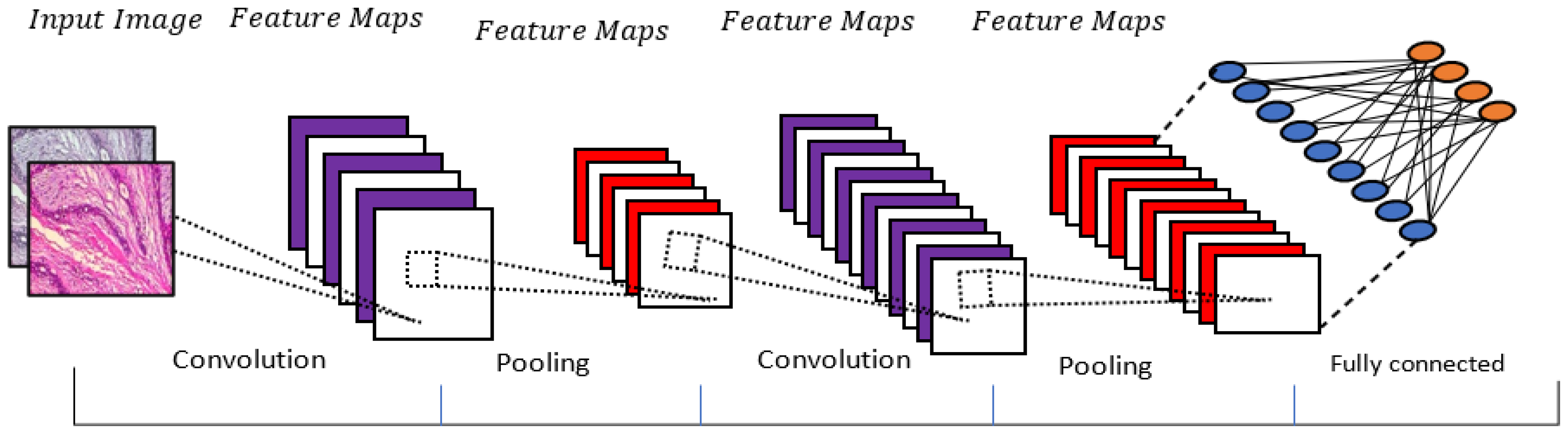 Diagnostics 13 00161 g003