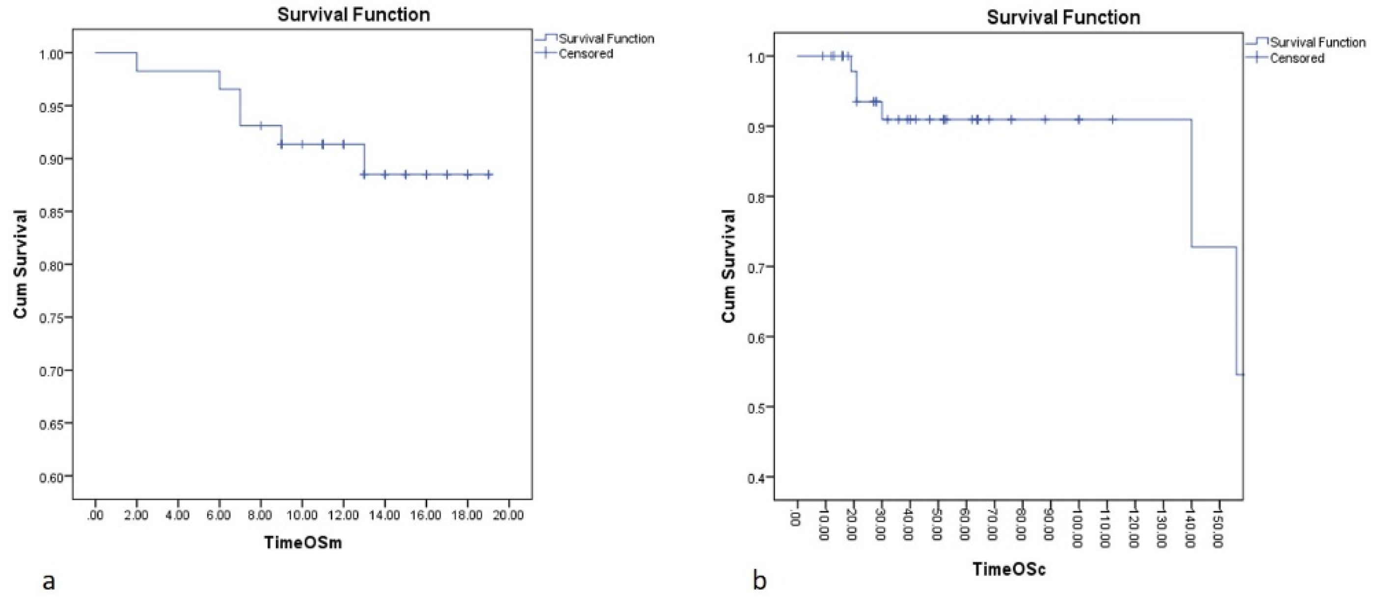 Diagnostics 13 00165 g002