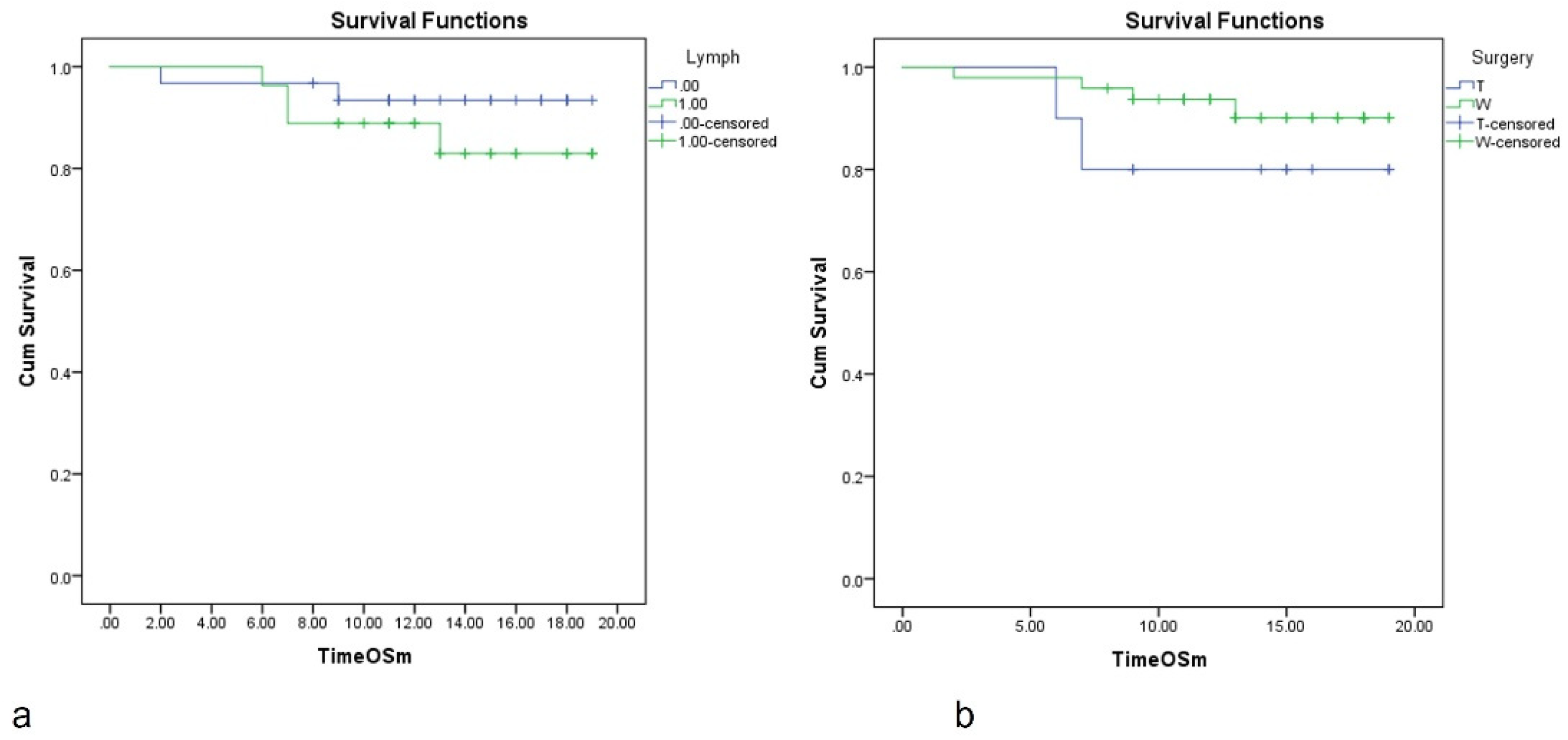 Diagnostics 13 00165 g003