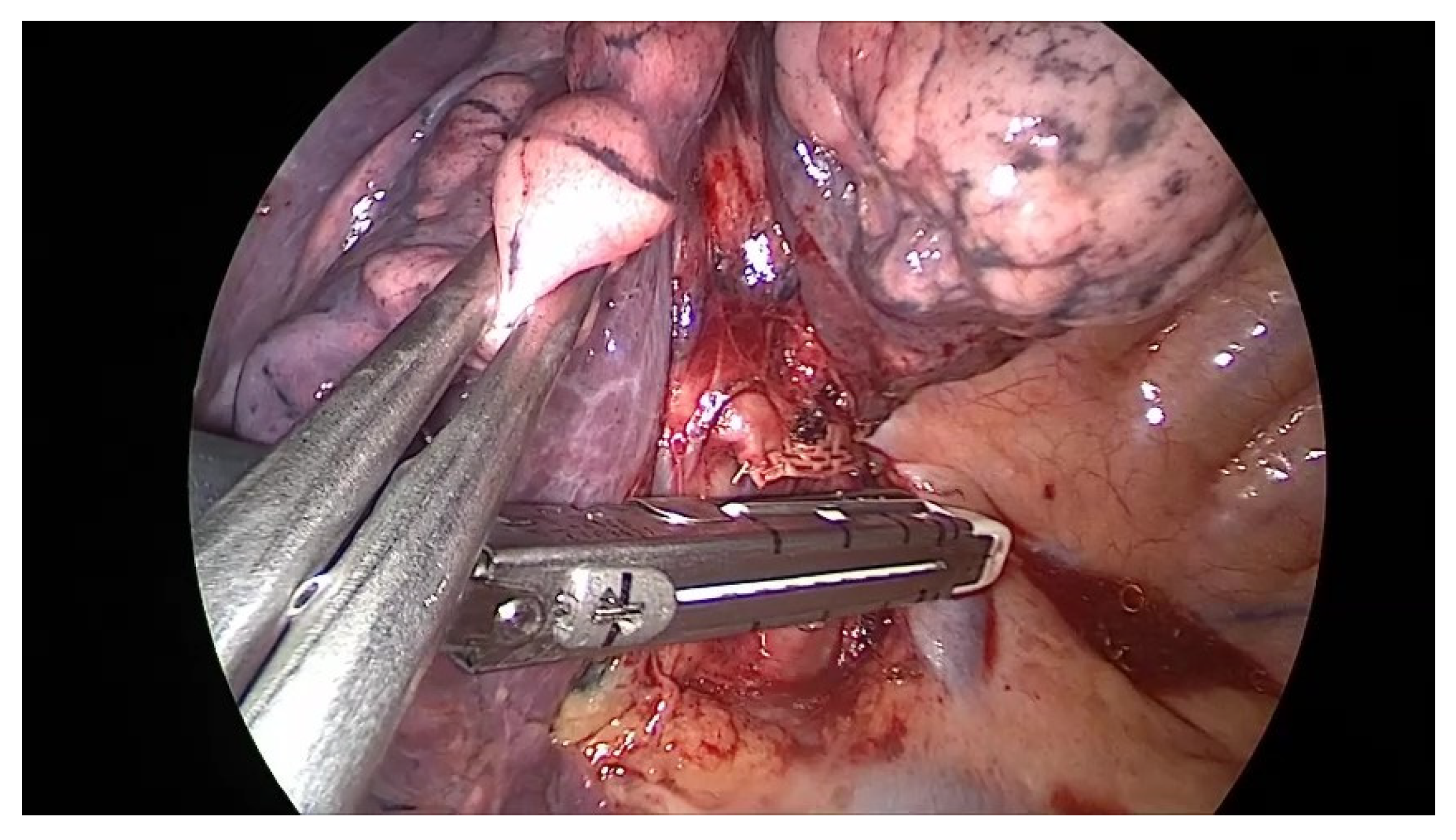 Diagnostics 13 00165 g008