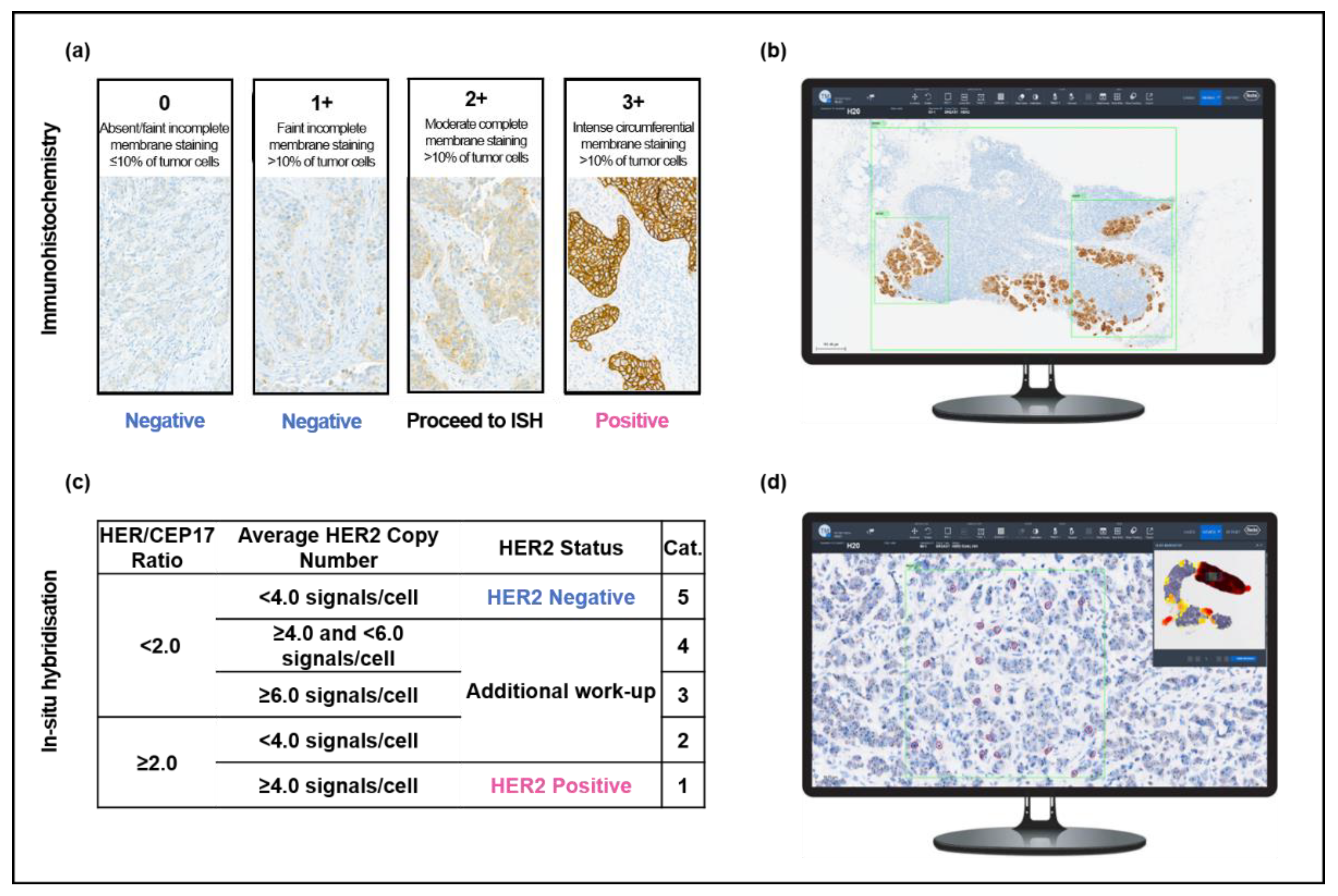 Diagnostics 13 00168 g001