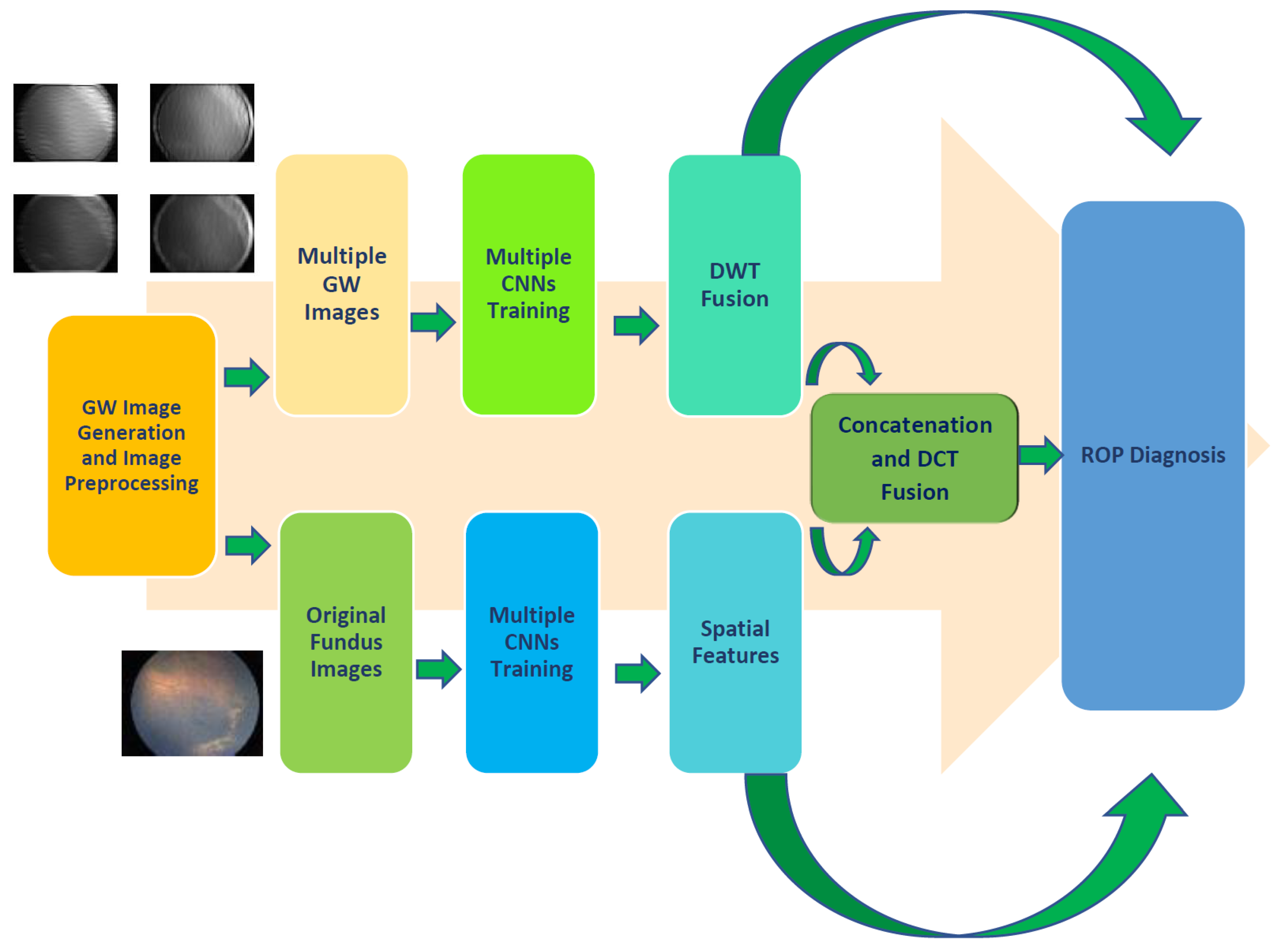 Diagnostics 13 00171 g002 Diagnostics 13 00171 g002