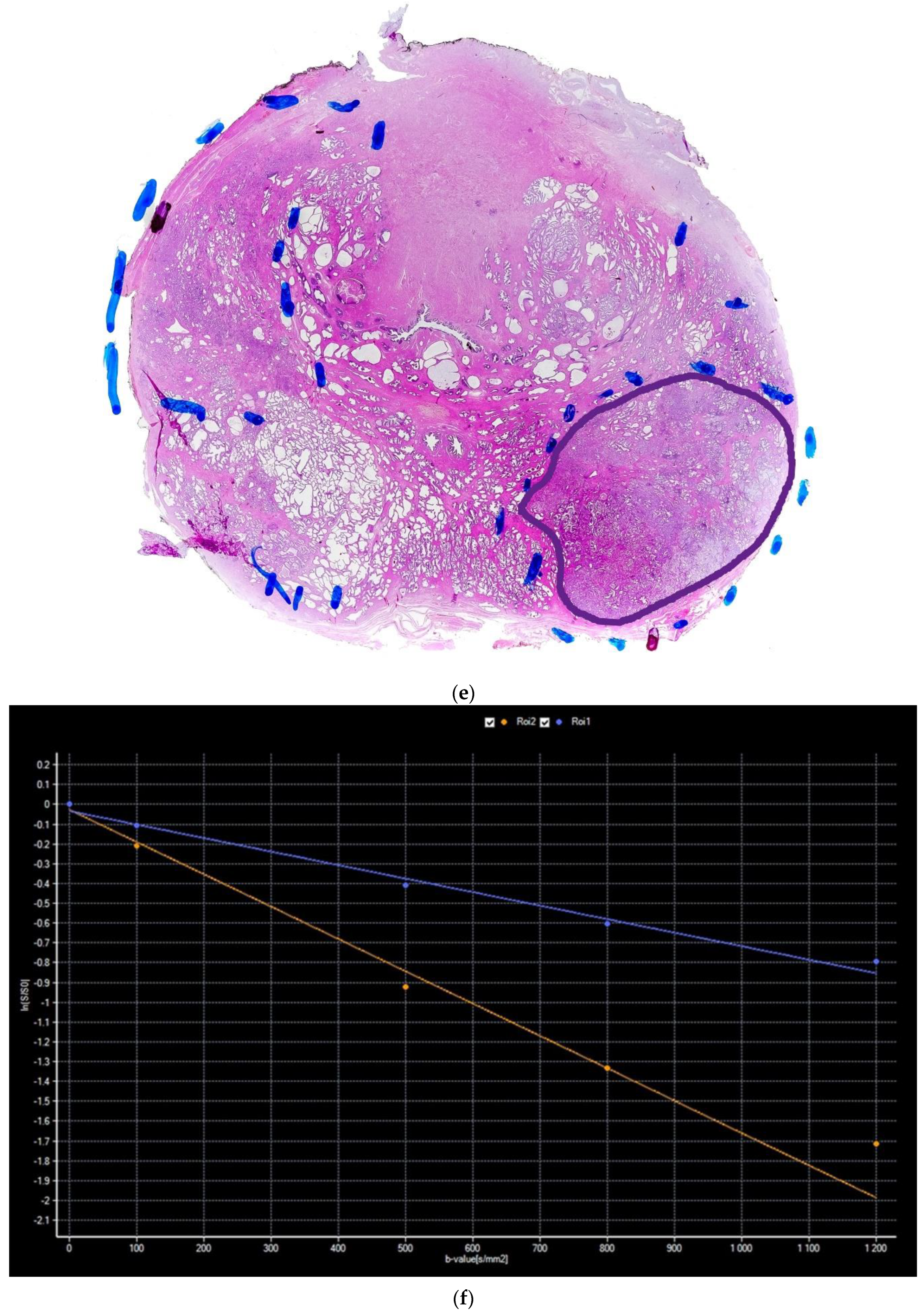 Diagnostics 13 00173 g001b Diagnostics 13 00173 g001b