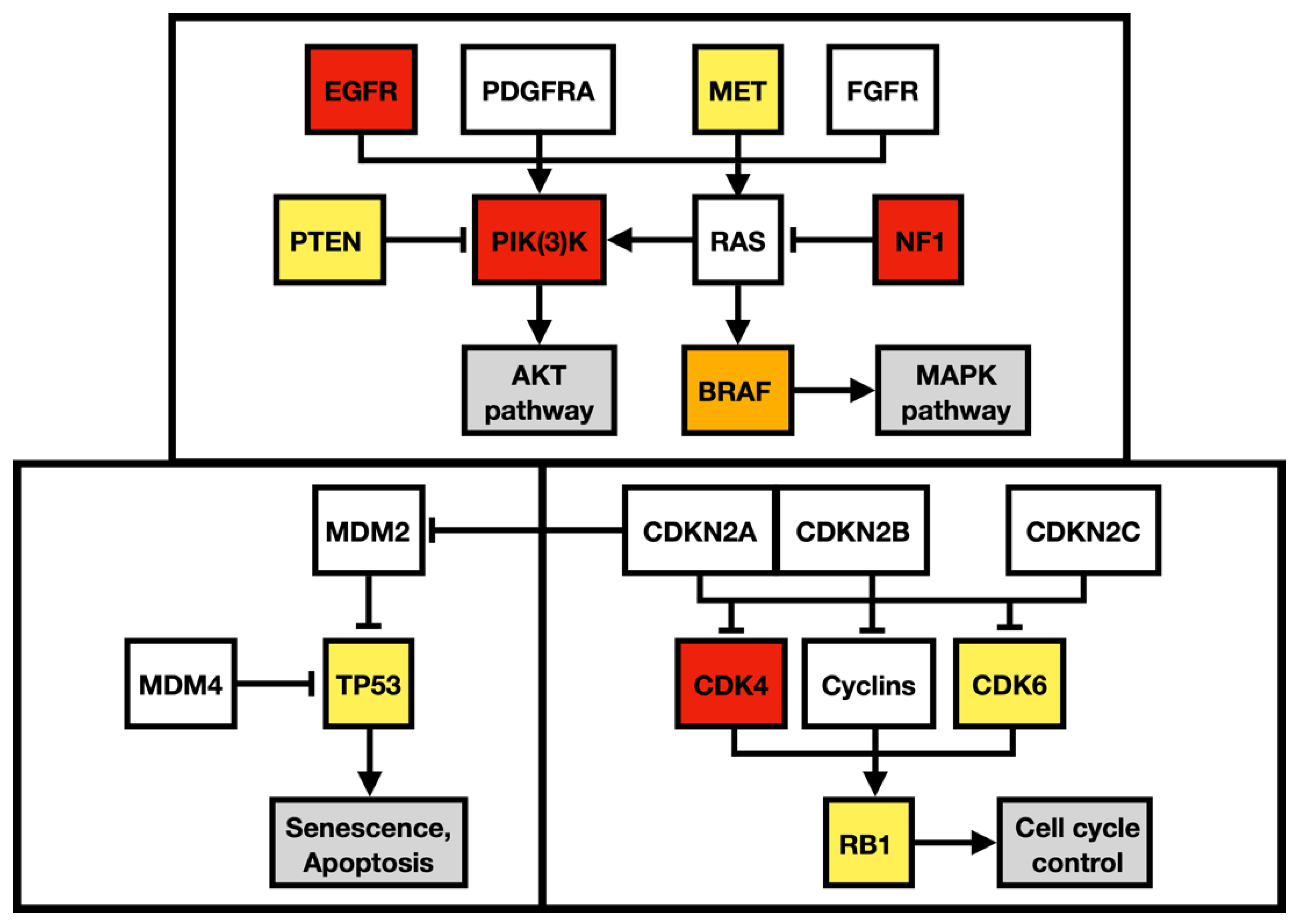 Diagnostics 13 00181 g009 Diagnostics 13 00181 g009
