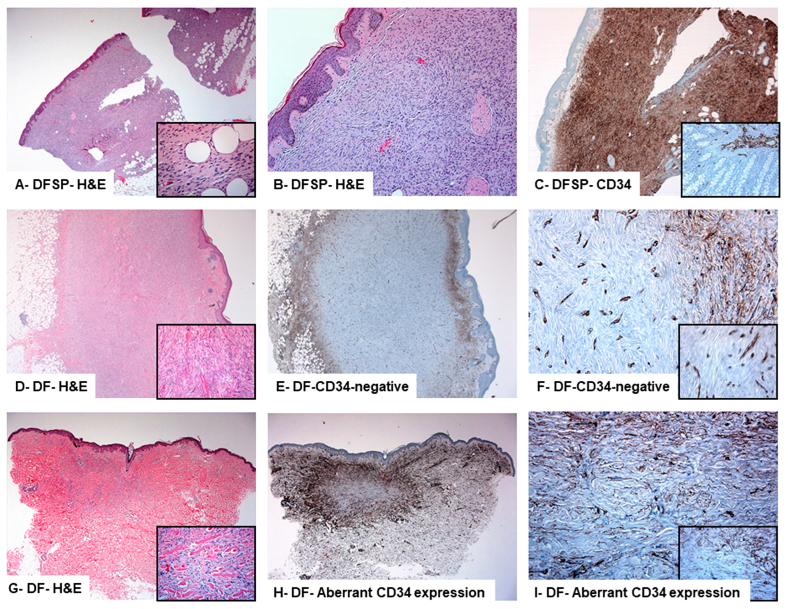 Diagnostics 13 00185 g002