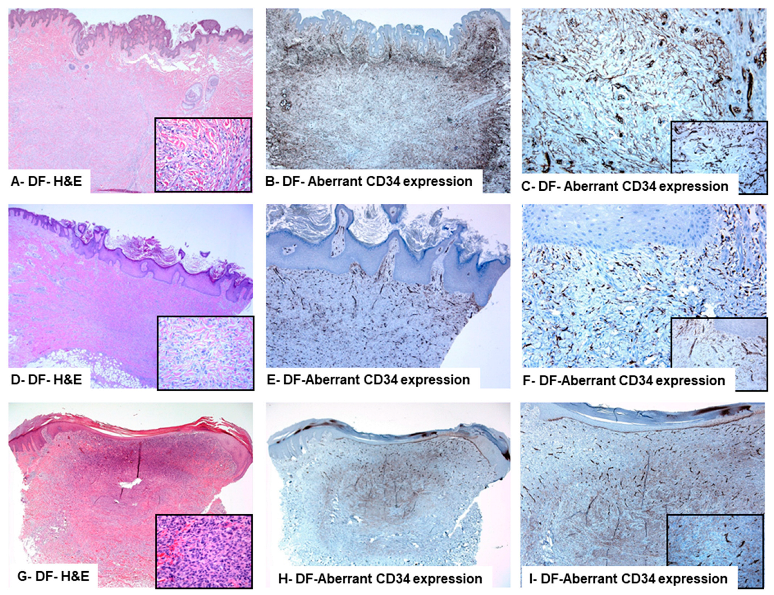 Diagnostics 13 00185 g003