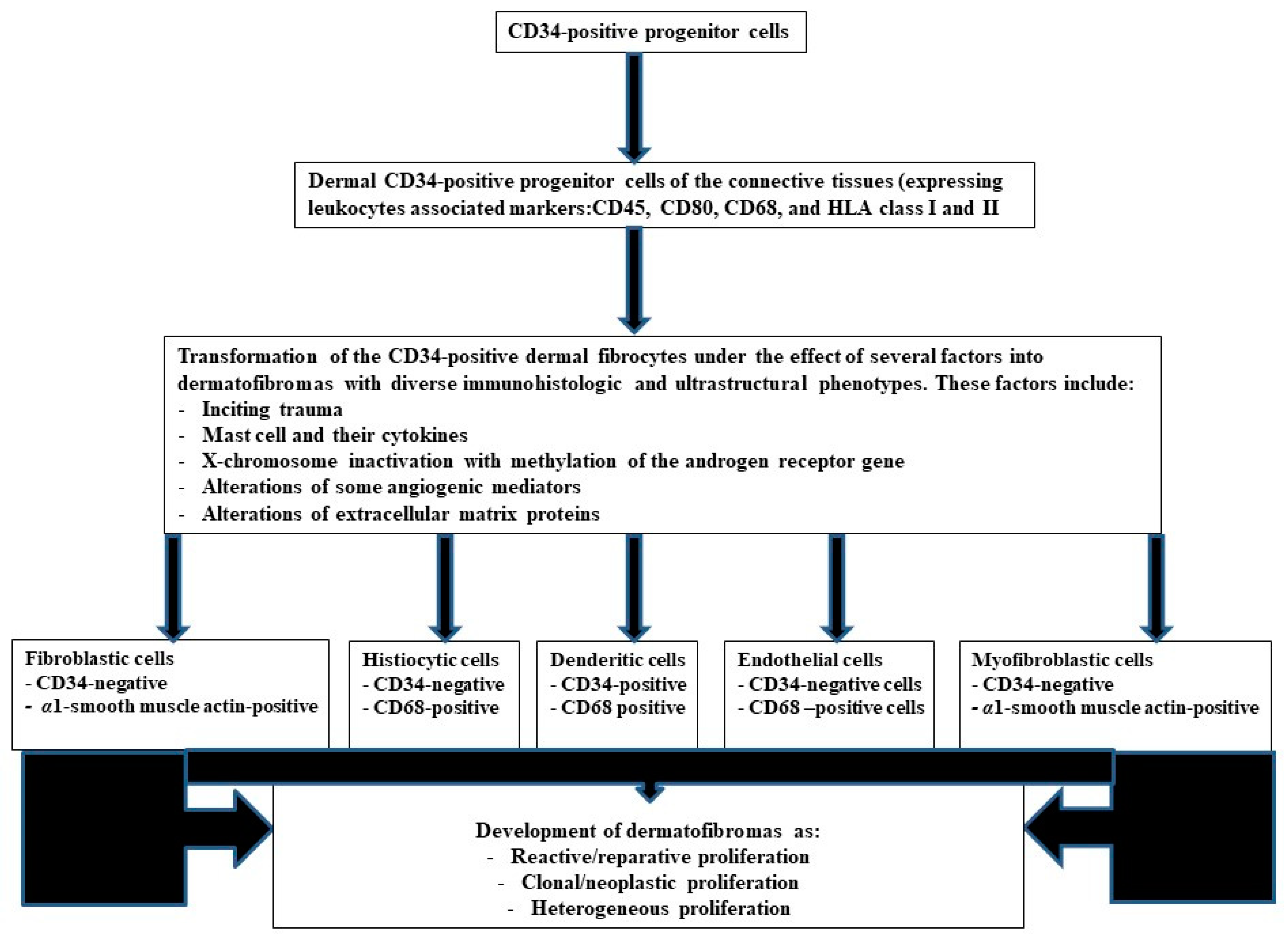 Diagnostics 13 00185 g004