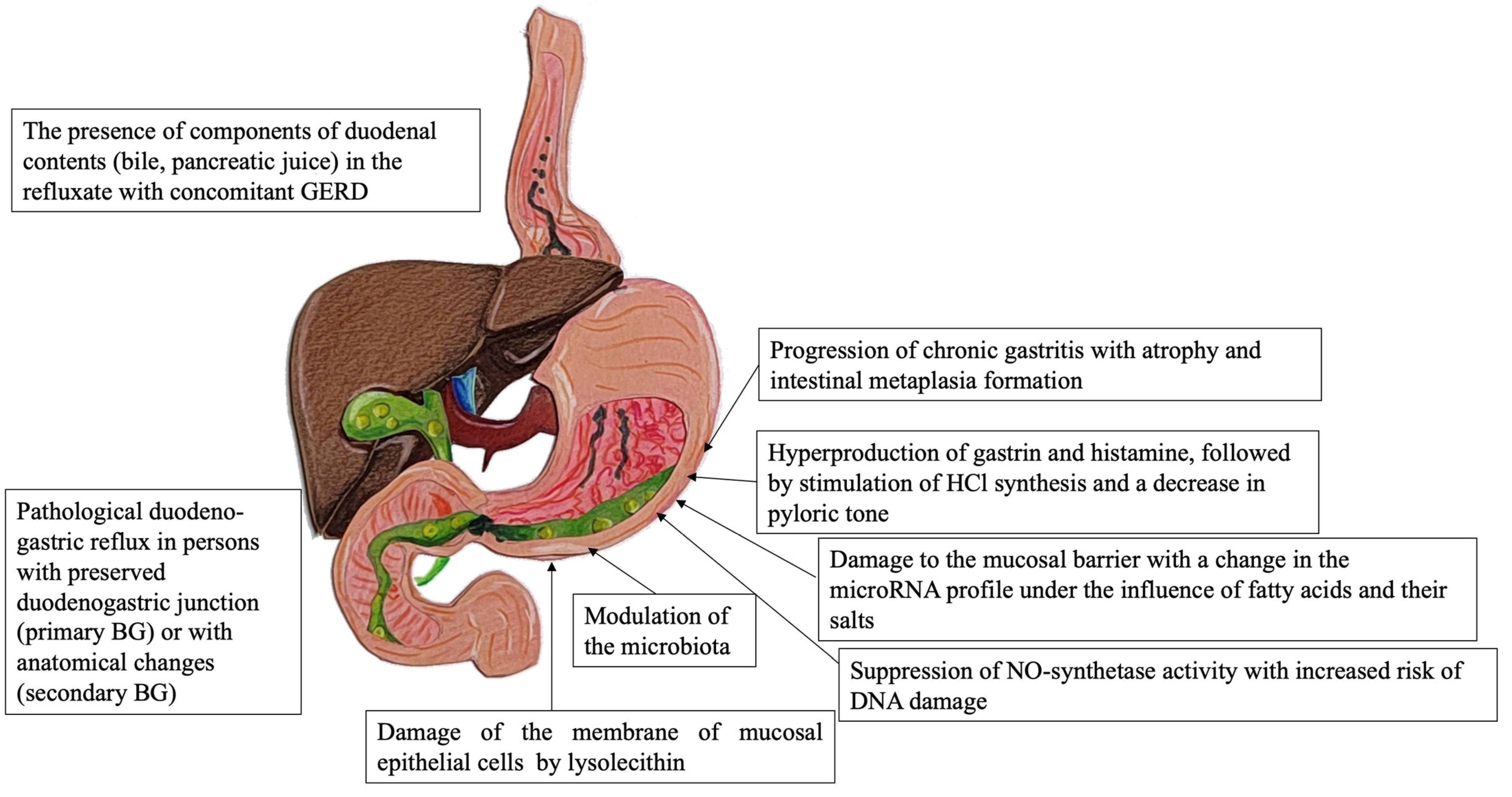 Diagnostics 13 00186 g001