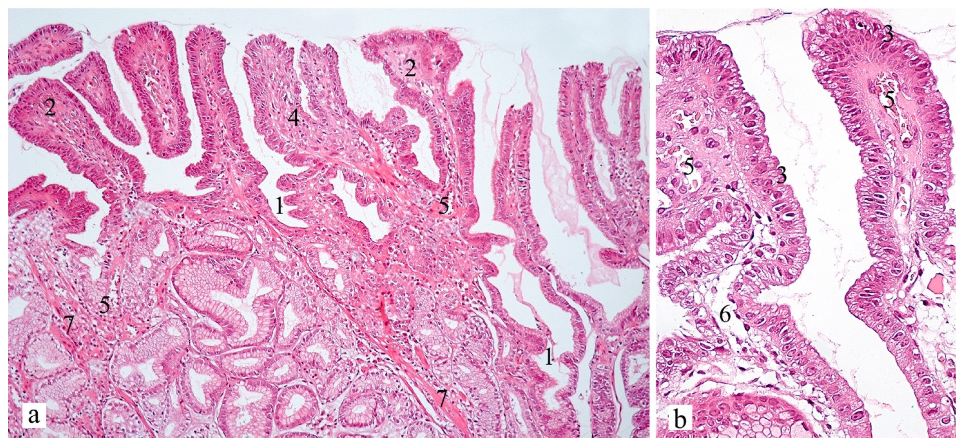 Diagnostics 13 00186 g003