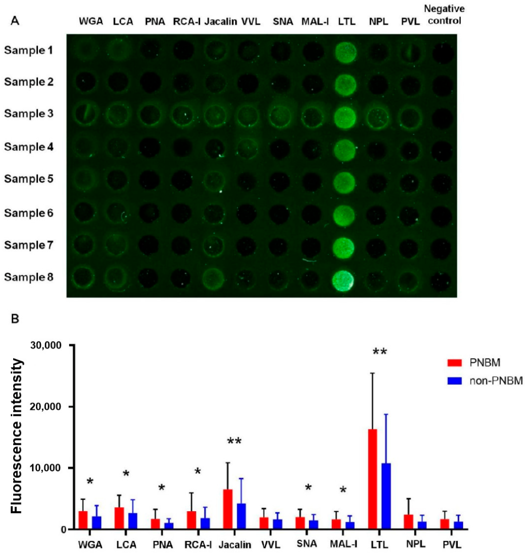 Diagnostics 13 00187 g001