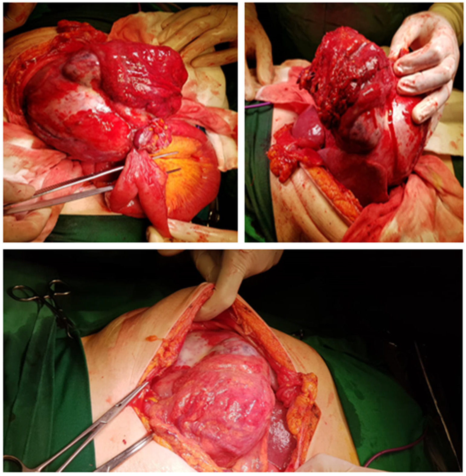 Diagnostics 13 00194 g002