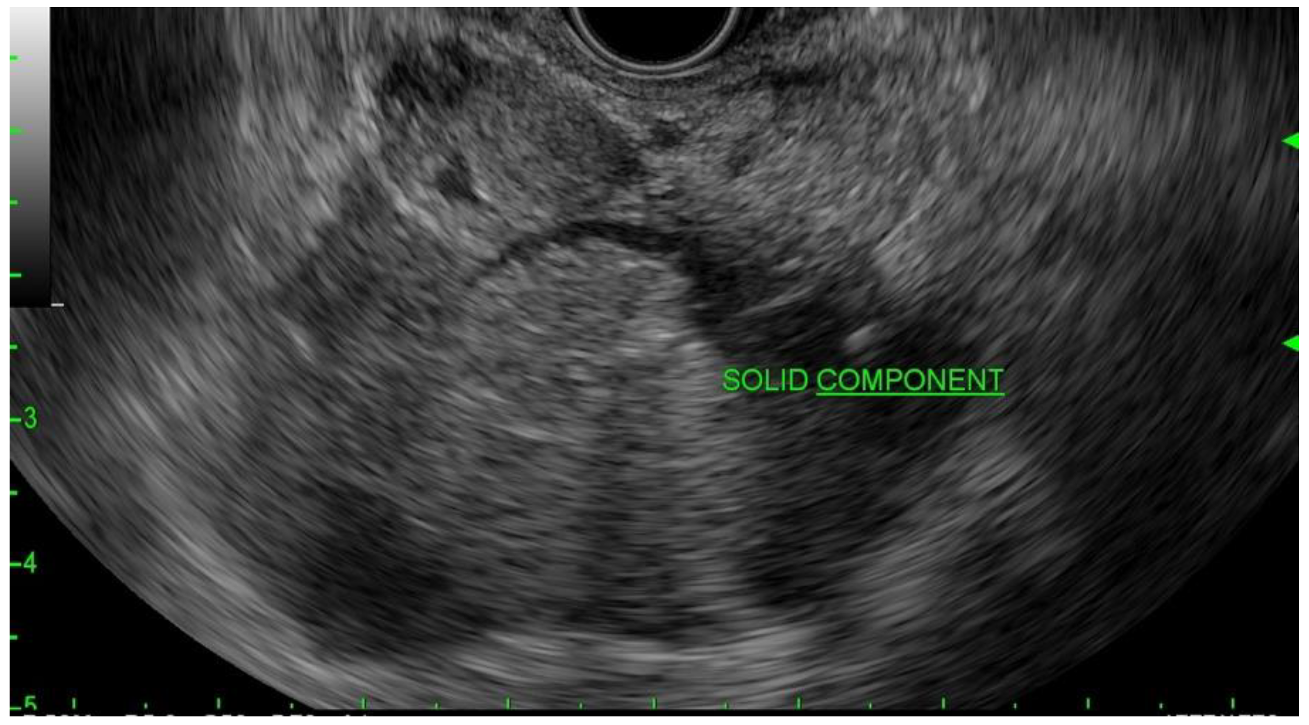 Diagnostics 13 00207 g001