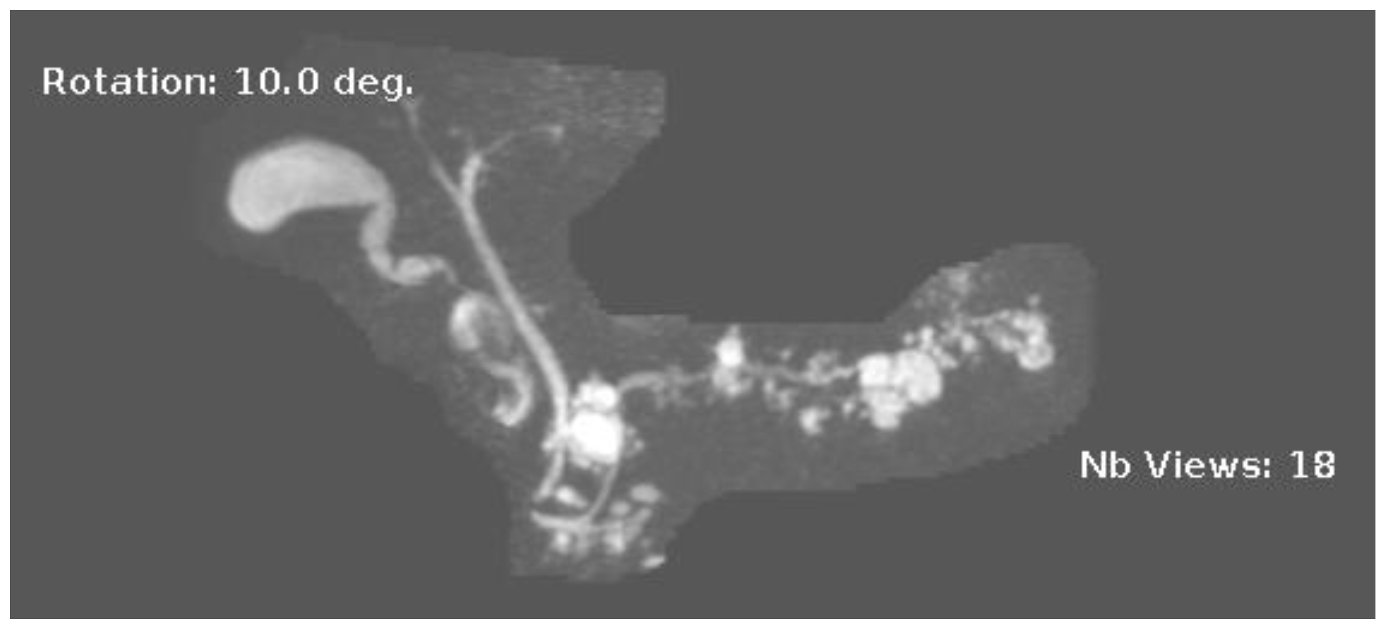 Diagnostics 13 00207 g003
