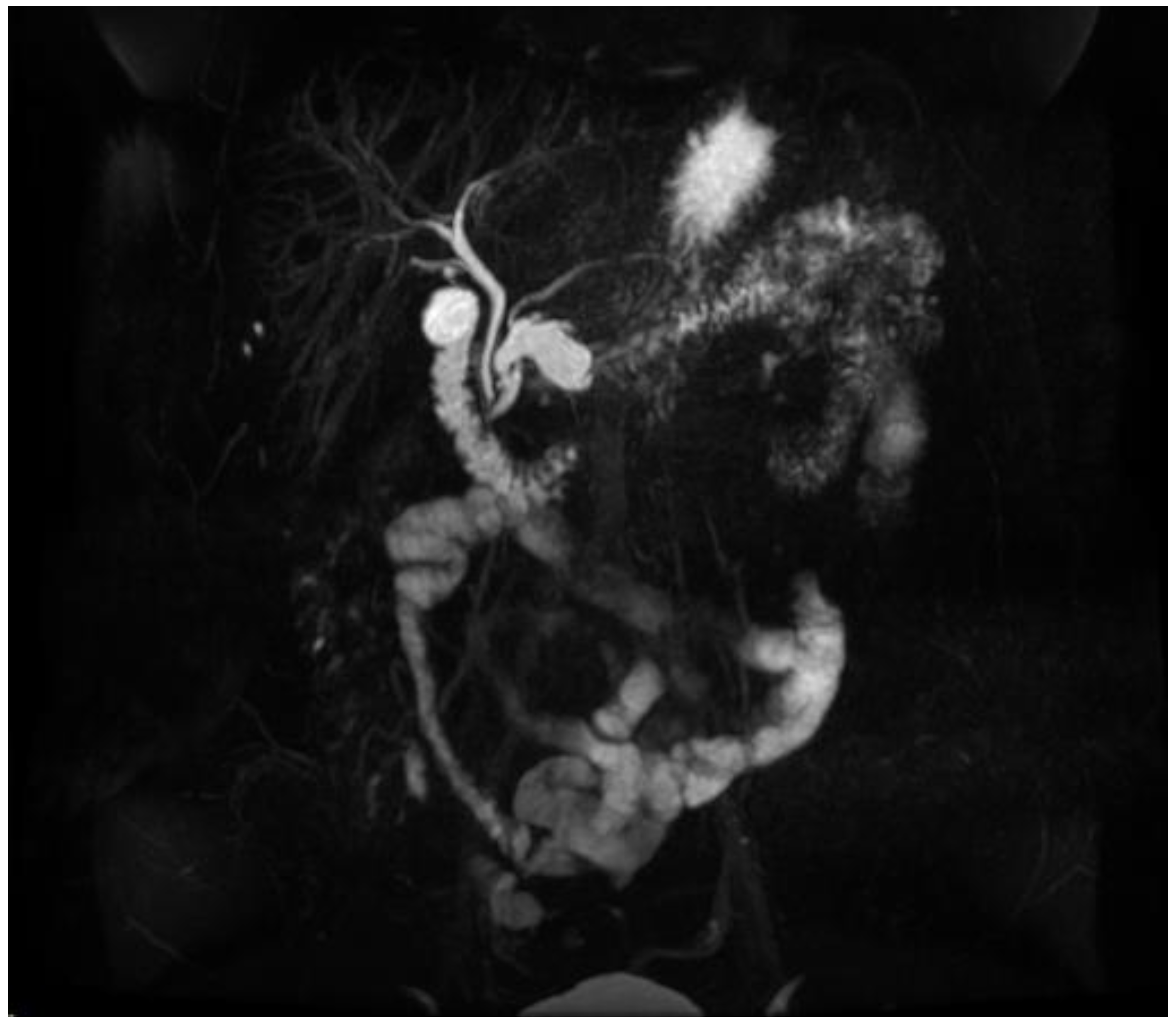 Diagnostics 13 00207 g004