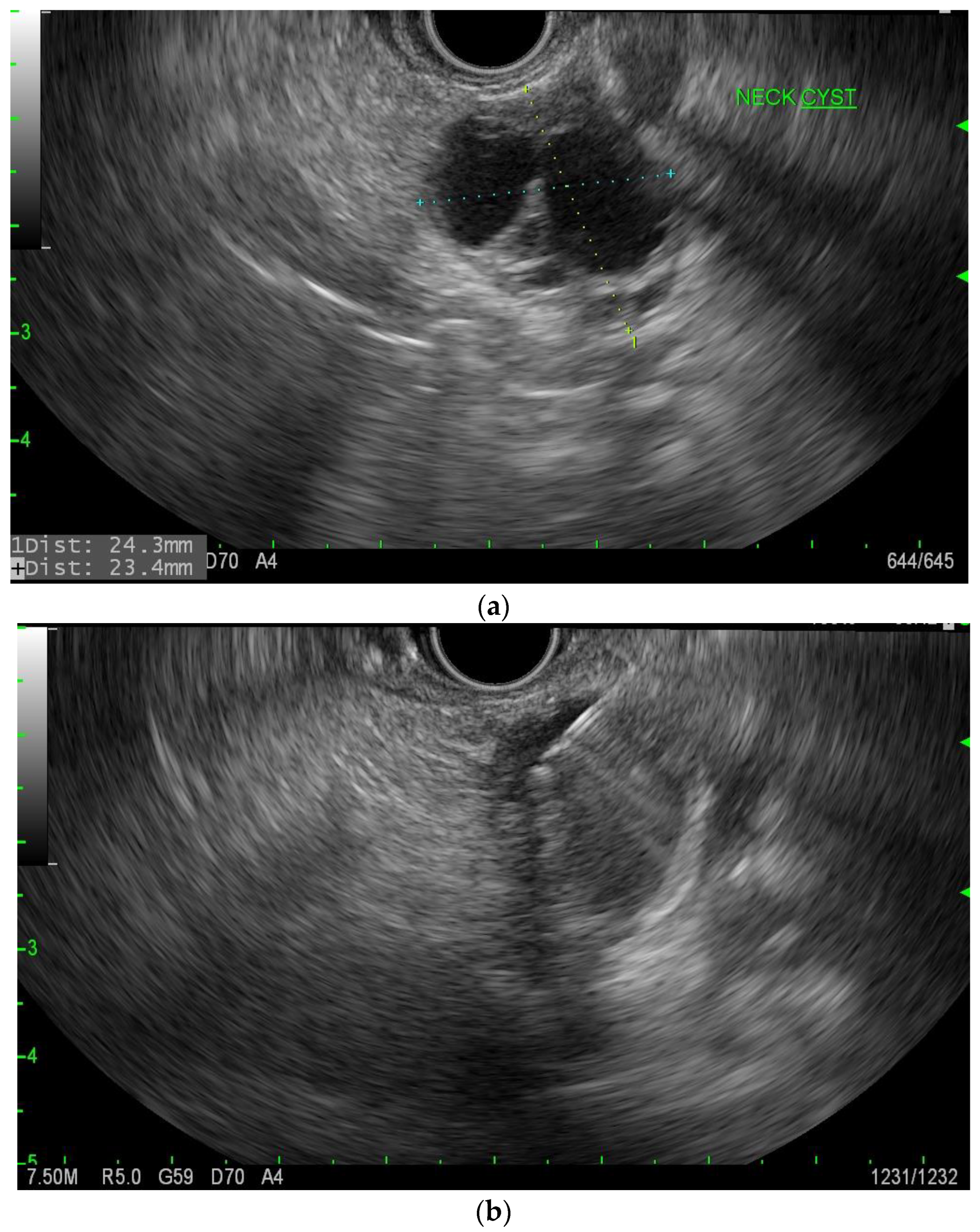 Diagnostics 13 00207 g007