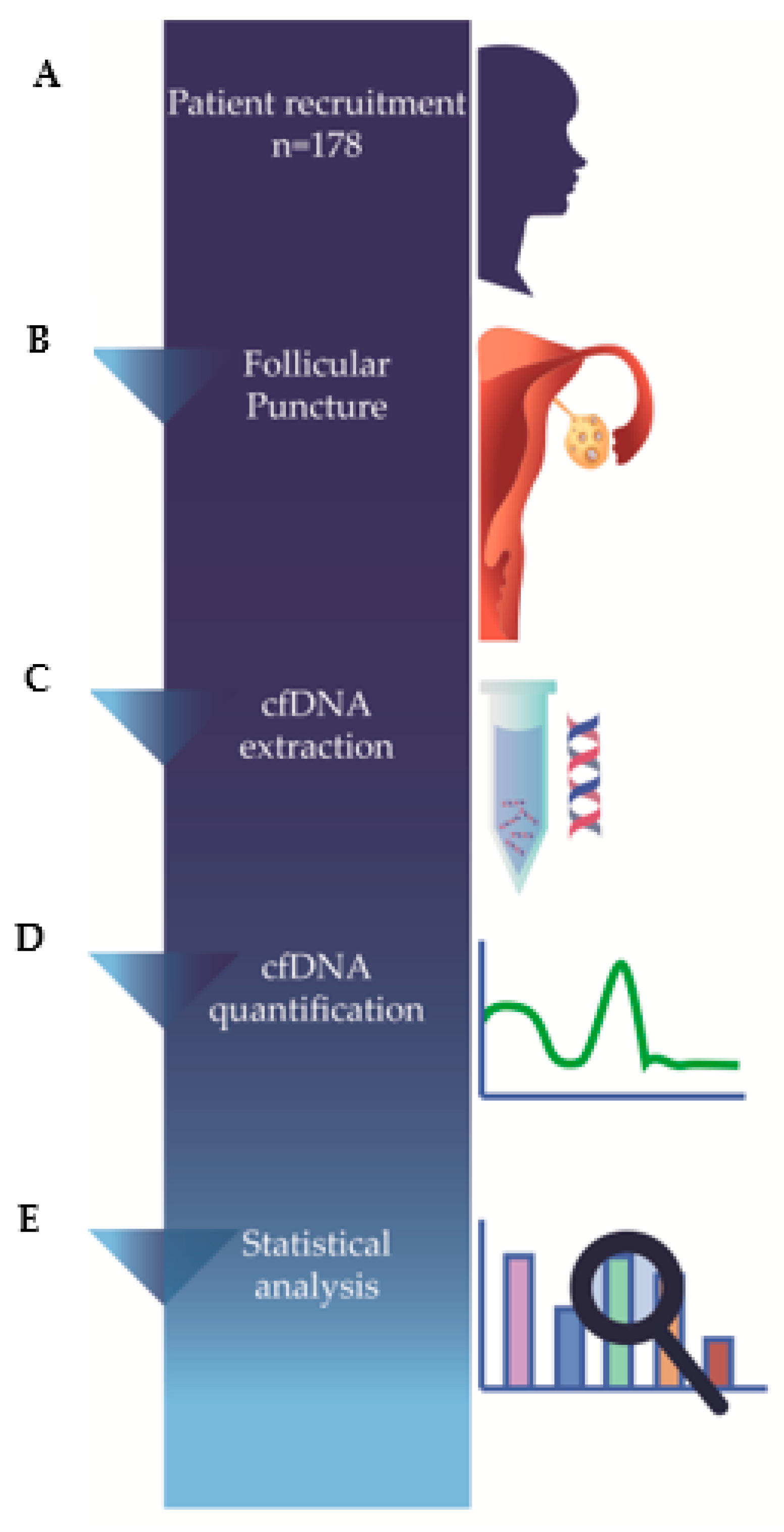 Diagnostics 13 00208 g001