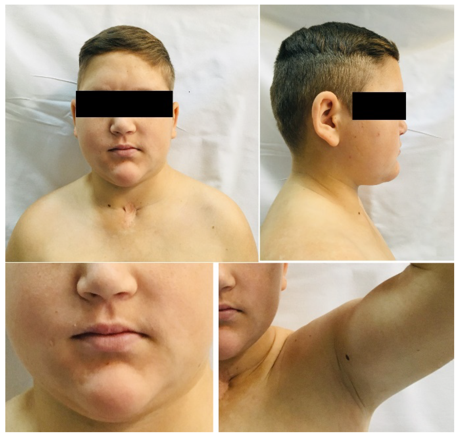 Diagnostics 13 00212 g001