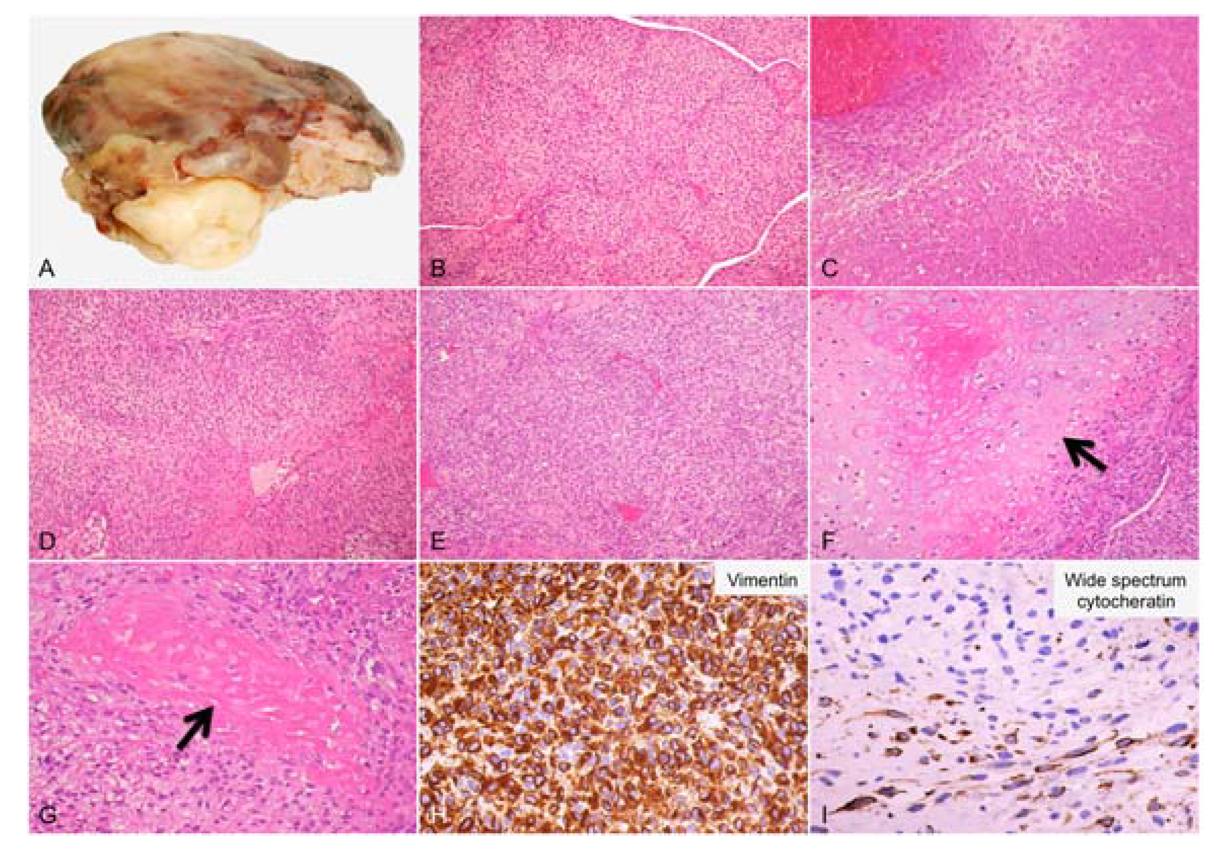 Diagnostics 13 00214 g001 Diagnostics 13 00214 g001