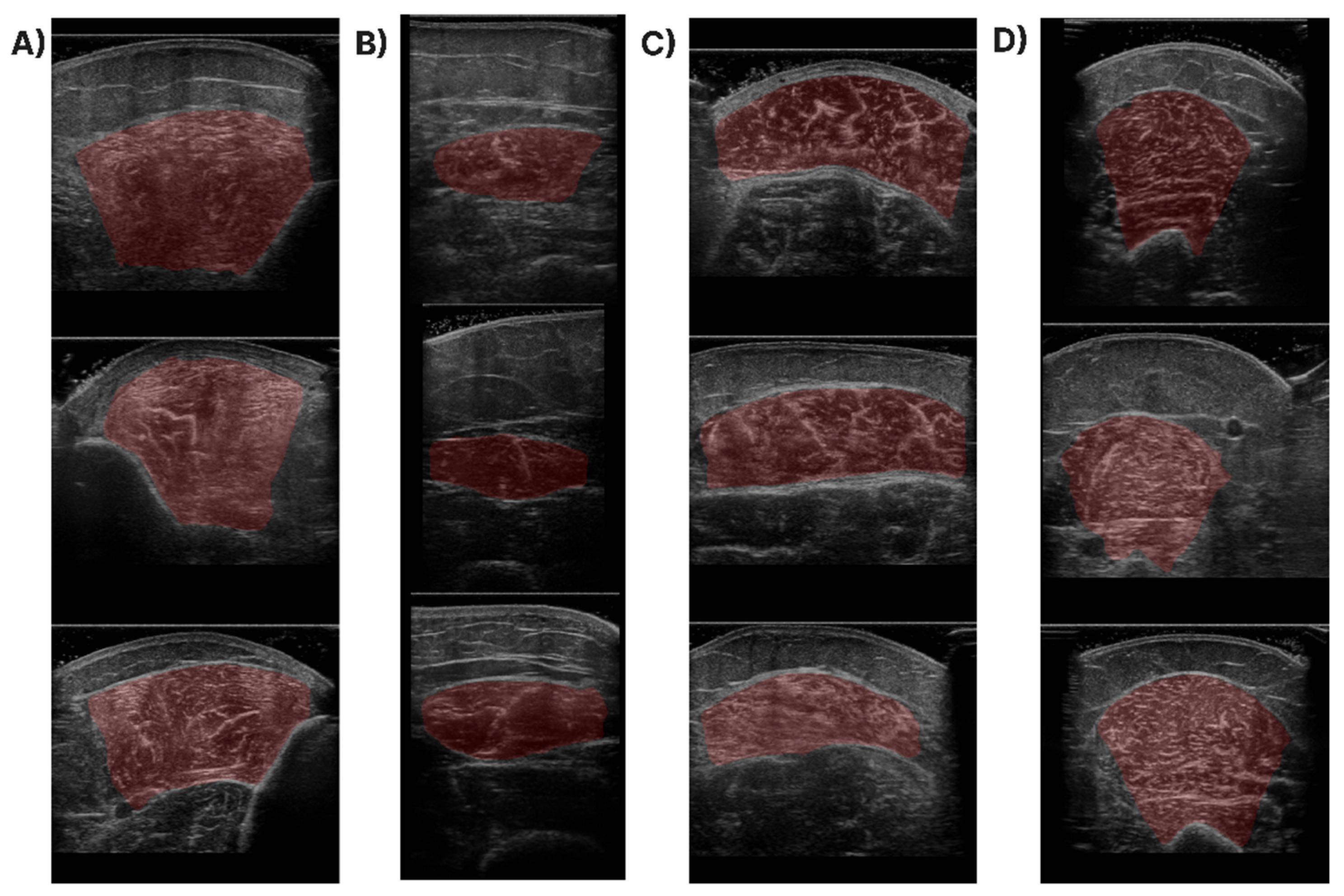 Diagnostics 13 00217 g008
