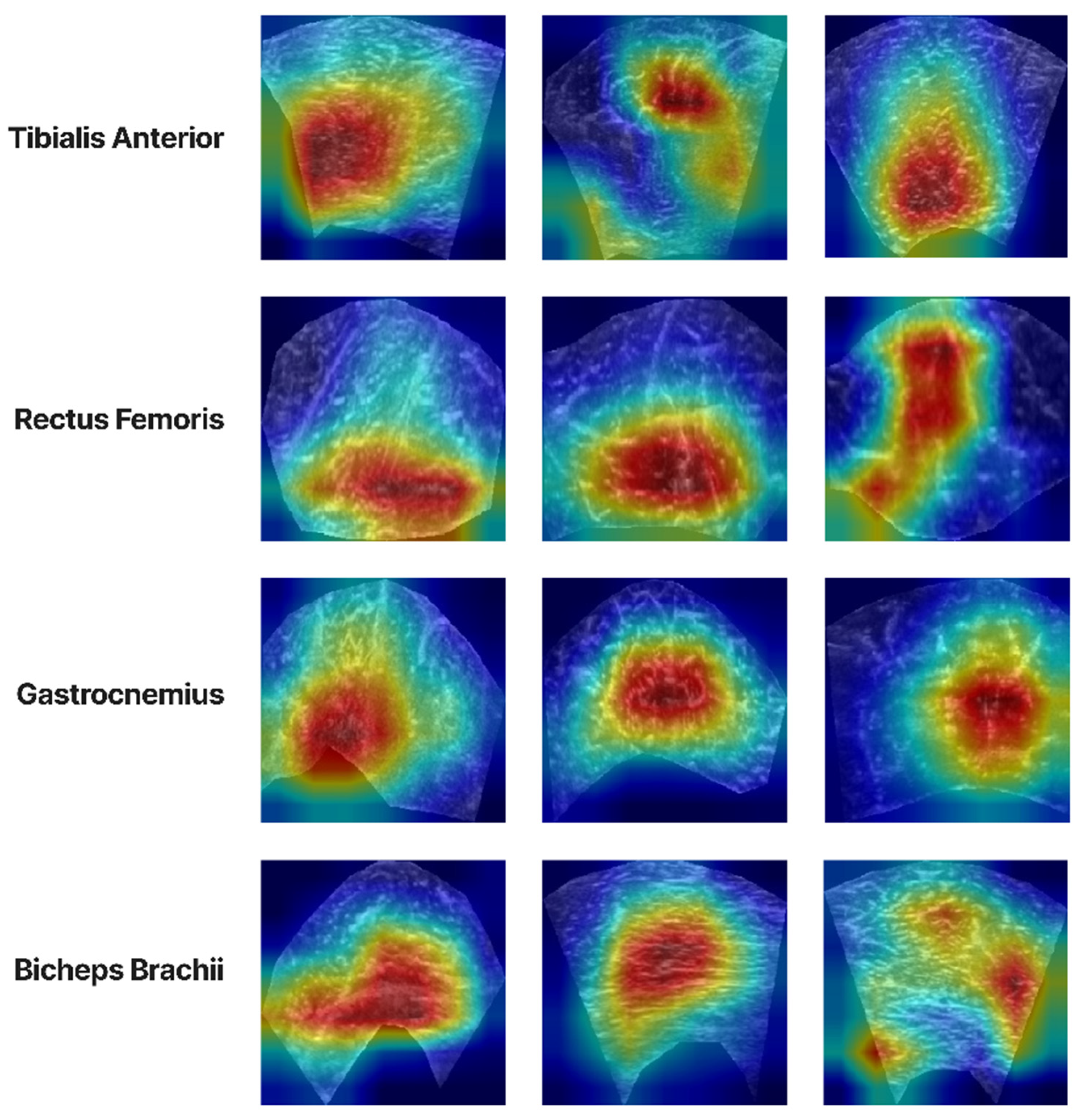 Diagnostics 13 00217 g015
