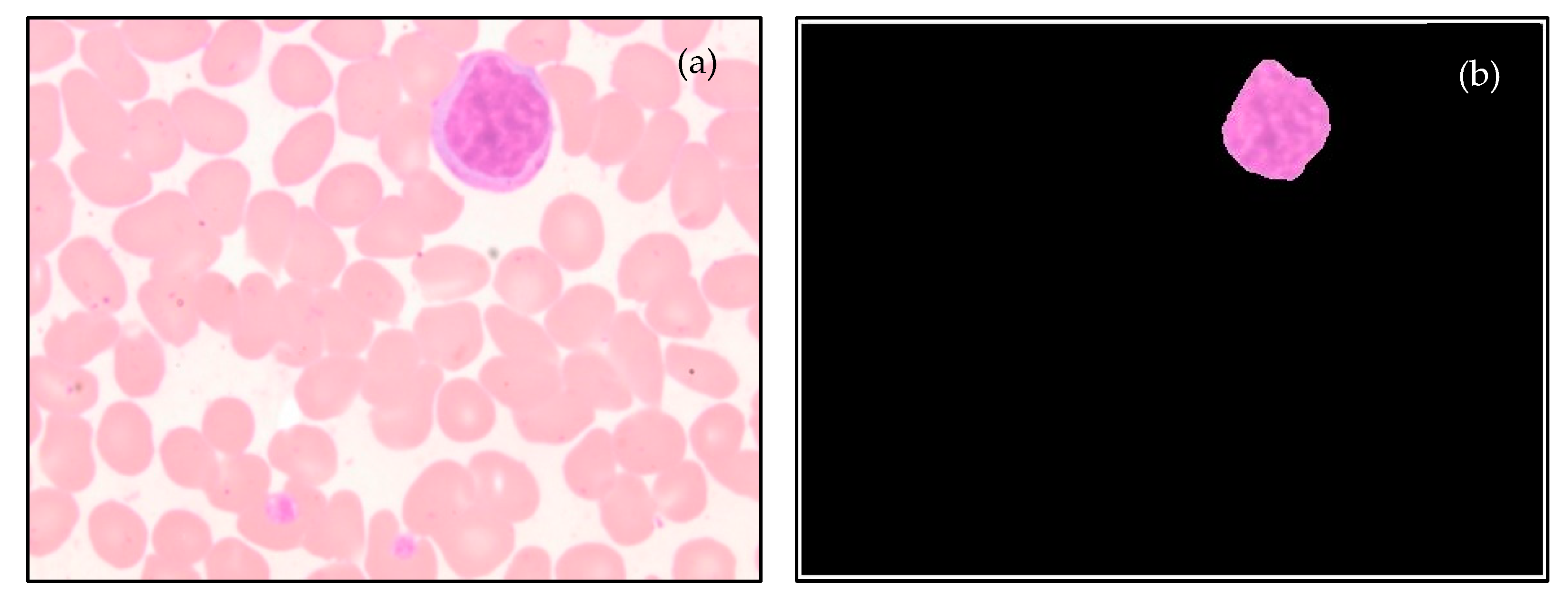 Diagnostics 13 00220 g007