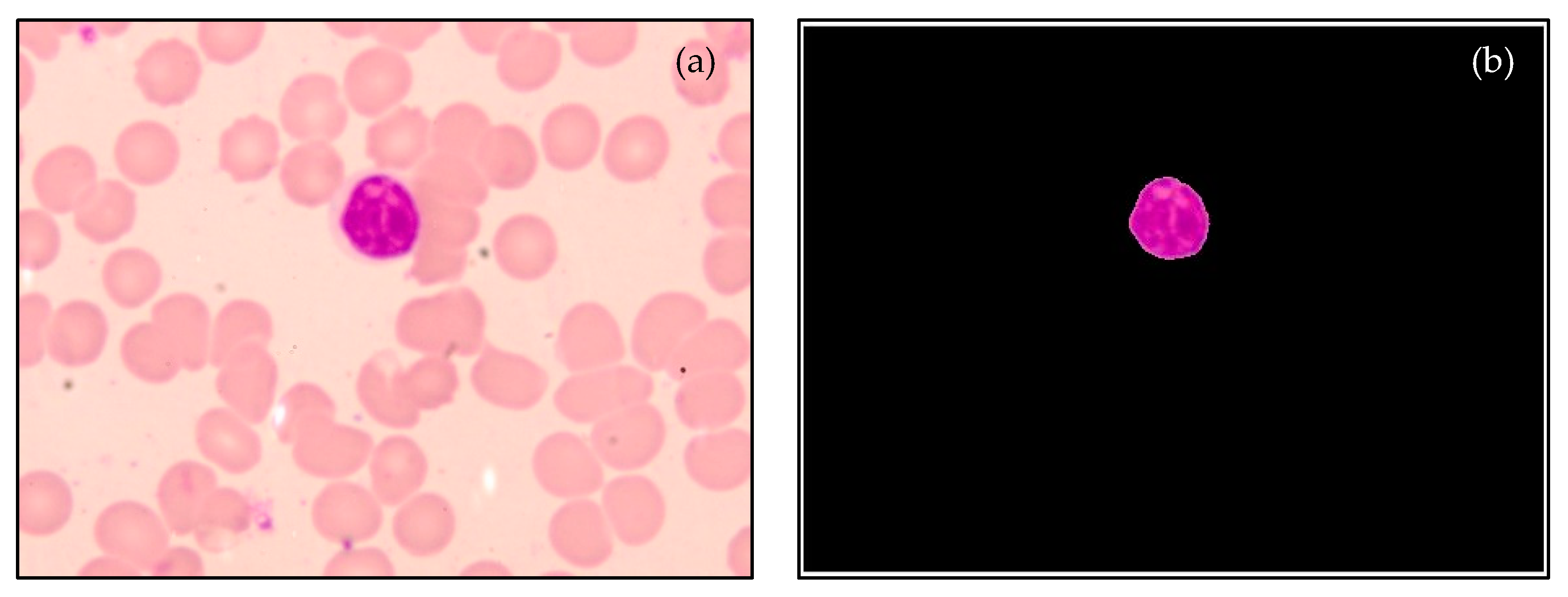 Diagnostics 13 00220 g008