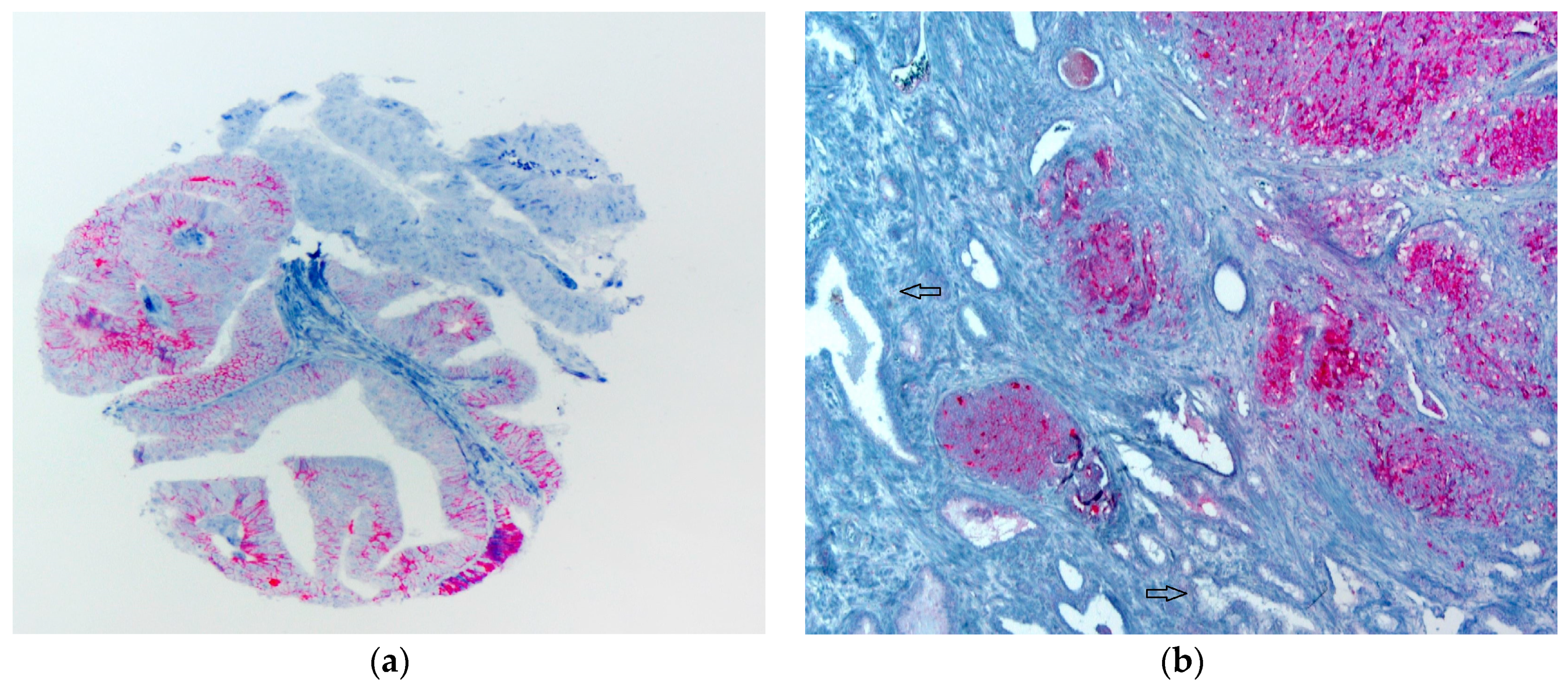 Diagnostics 13 00221 g001