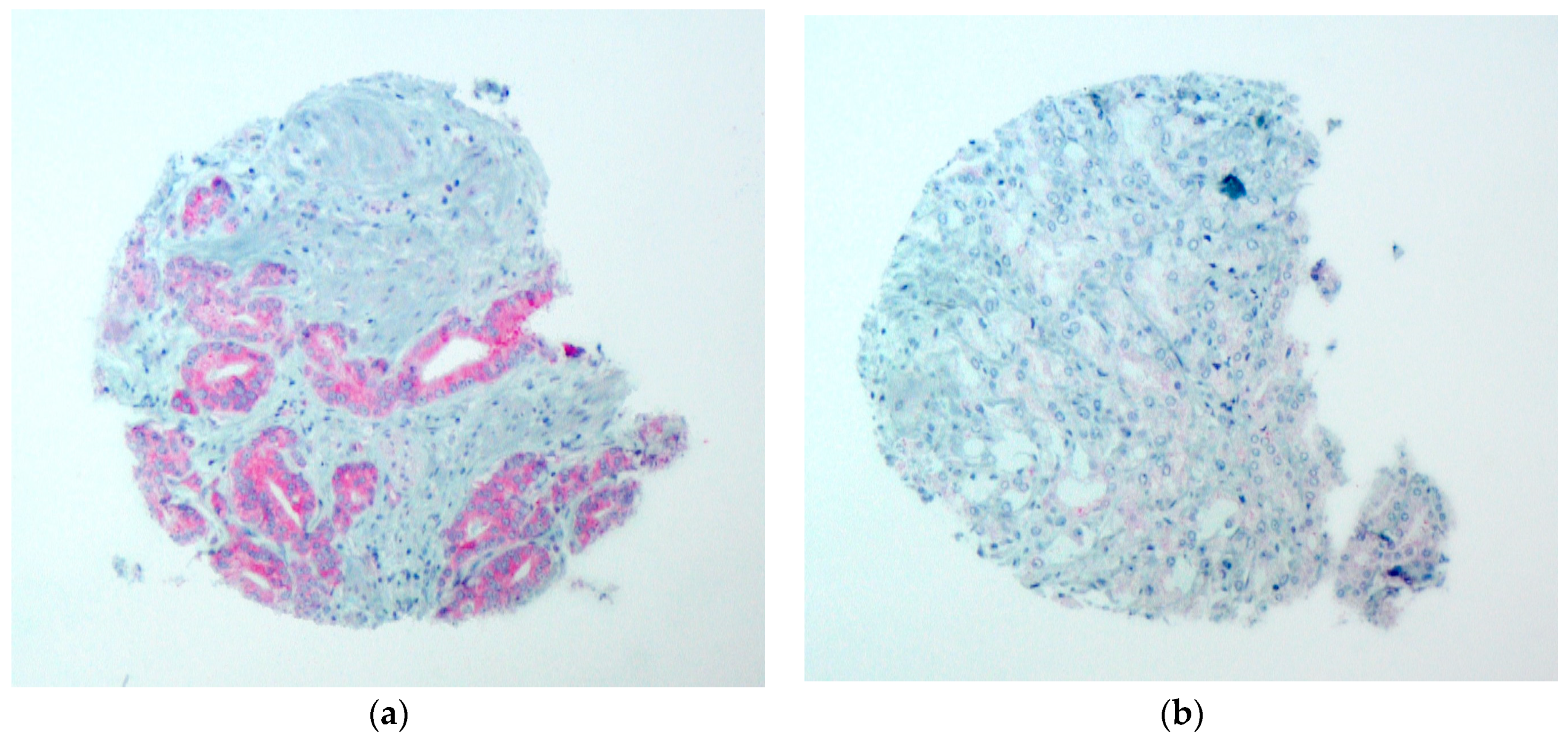 Diagnostics 13 00221 g002