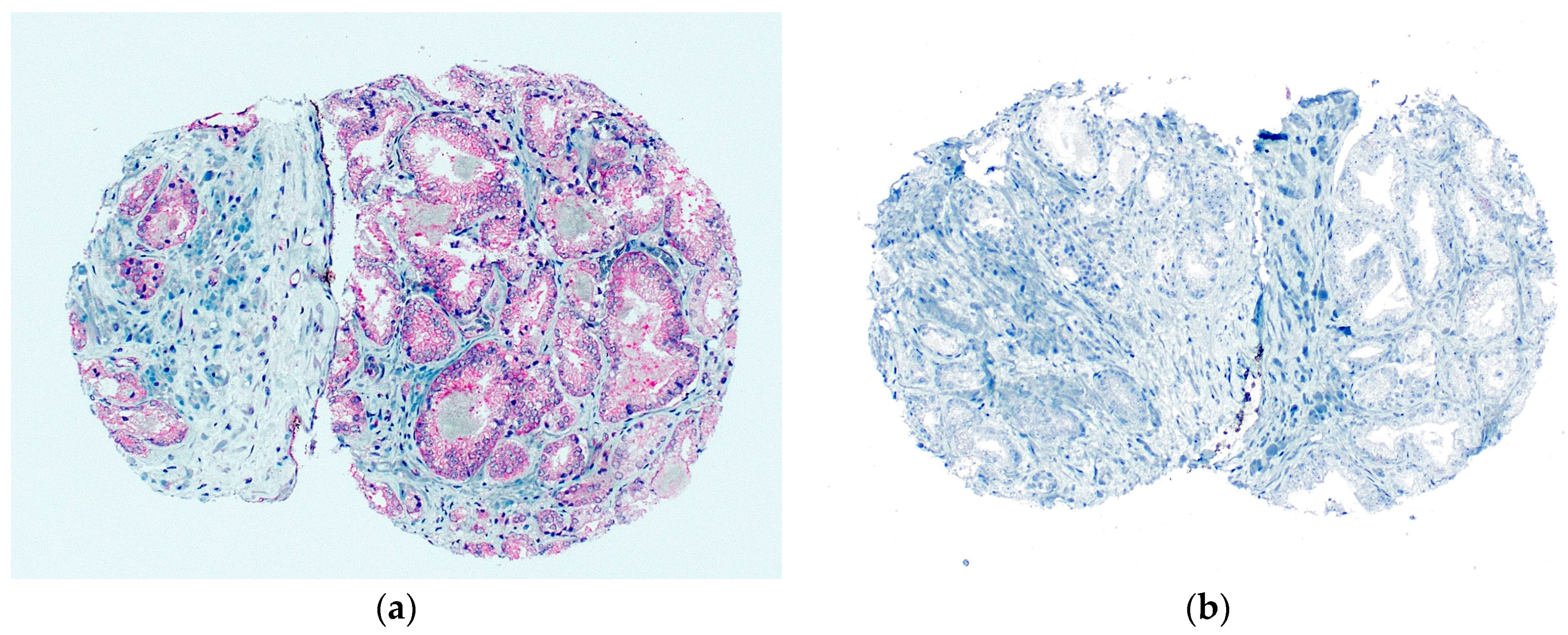 Diagnostics 13 00221 g003