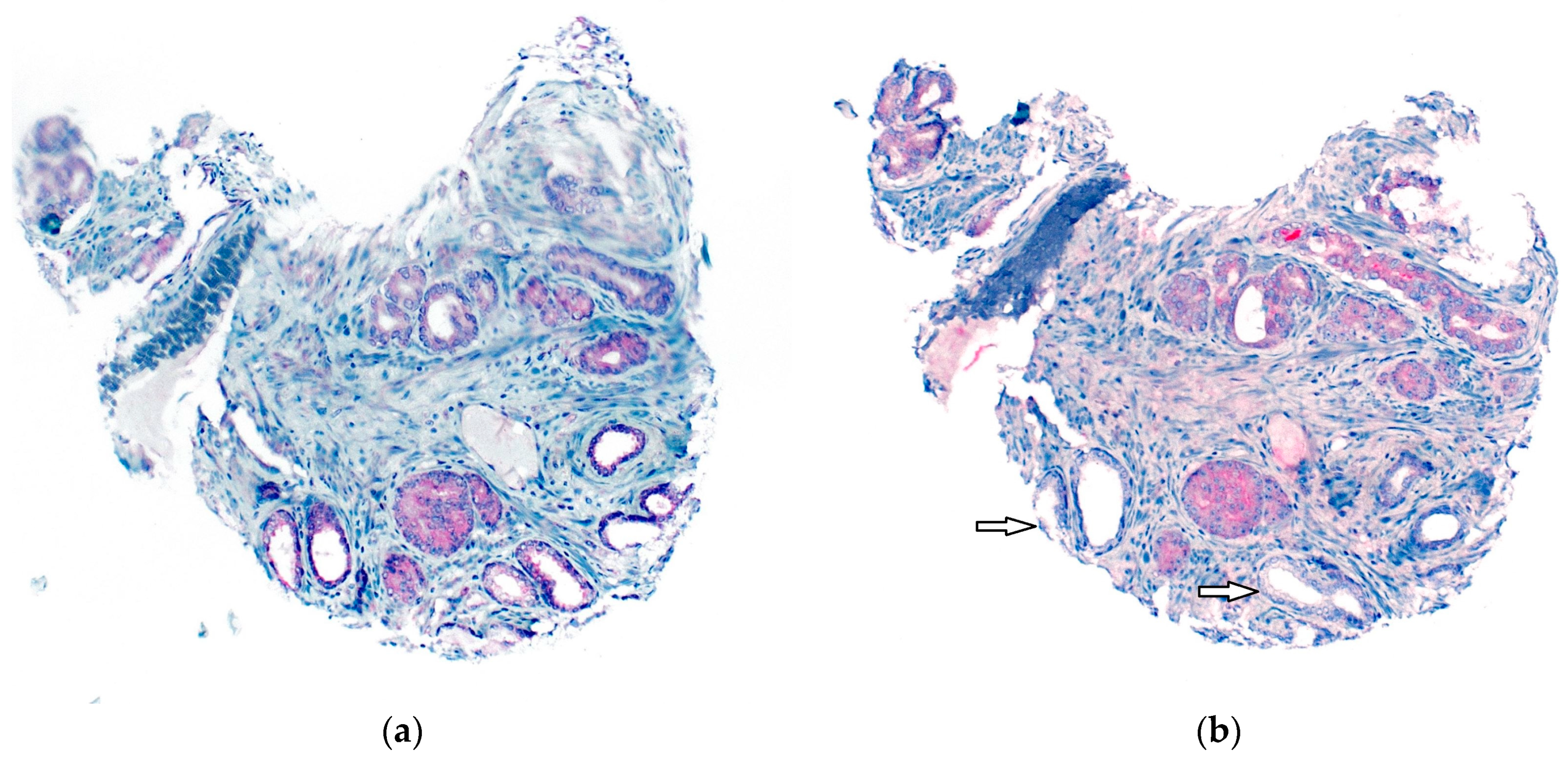 Diagnostics 13 00221 g004