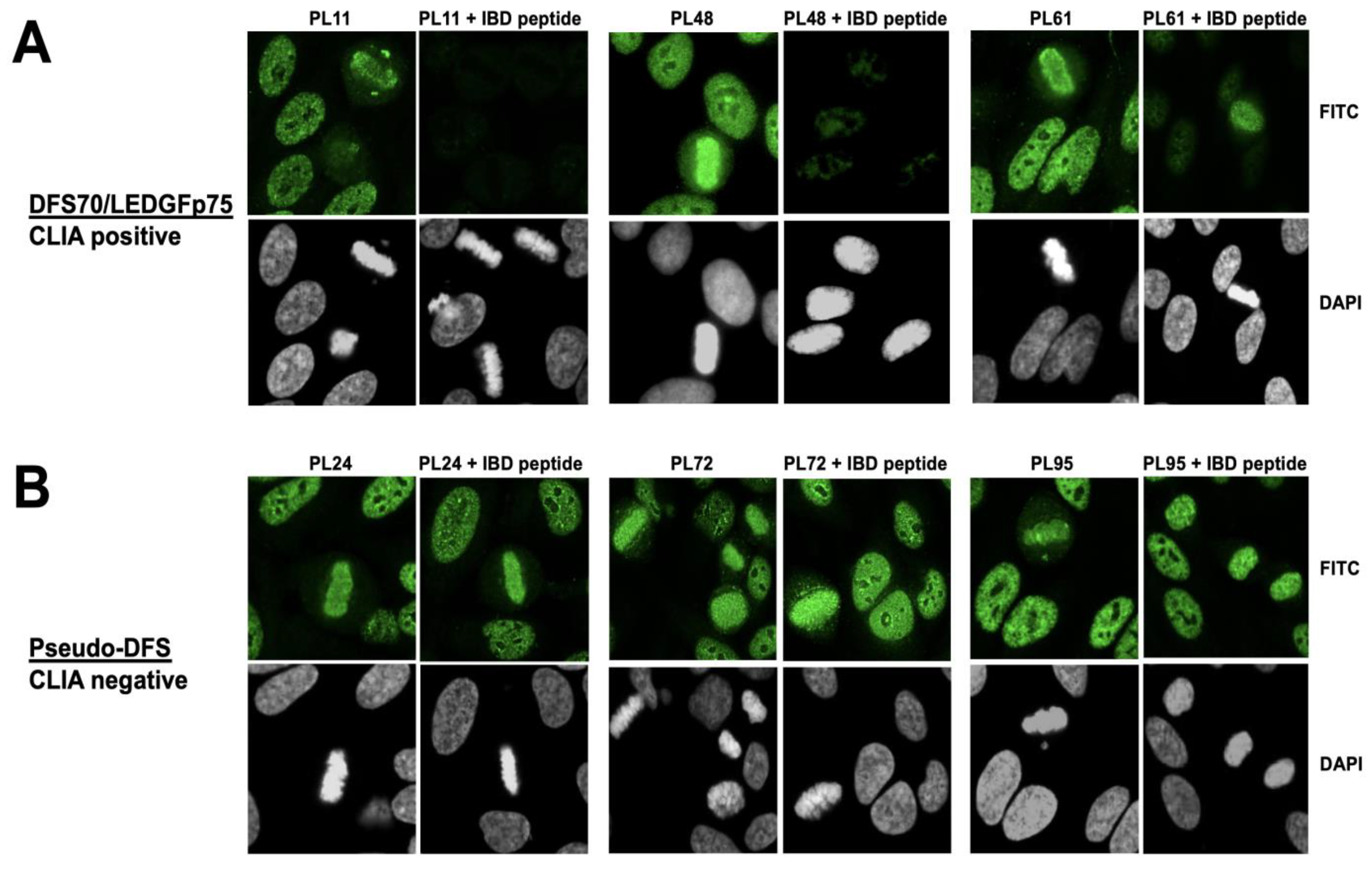 Diagnostics 13 00222 g002