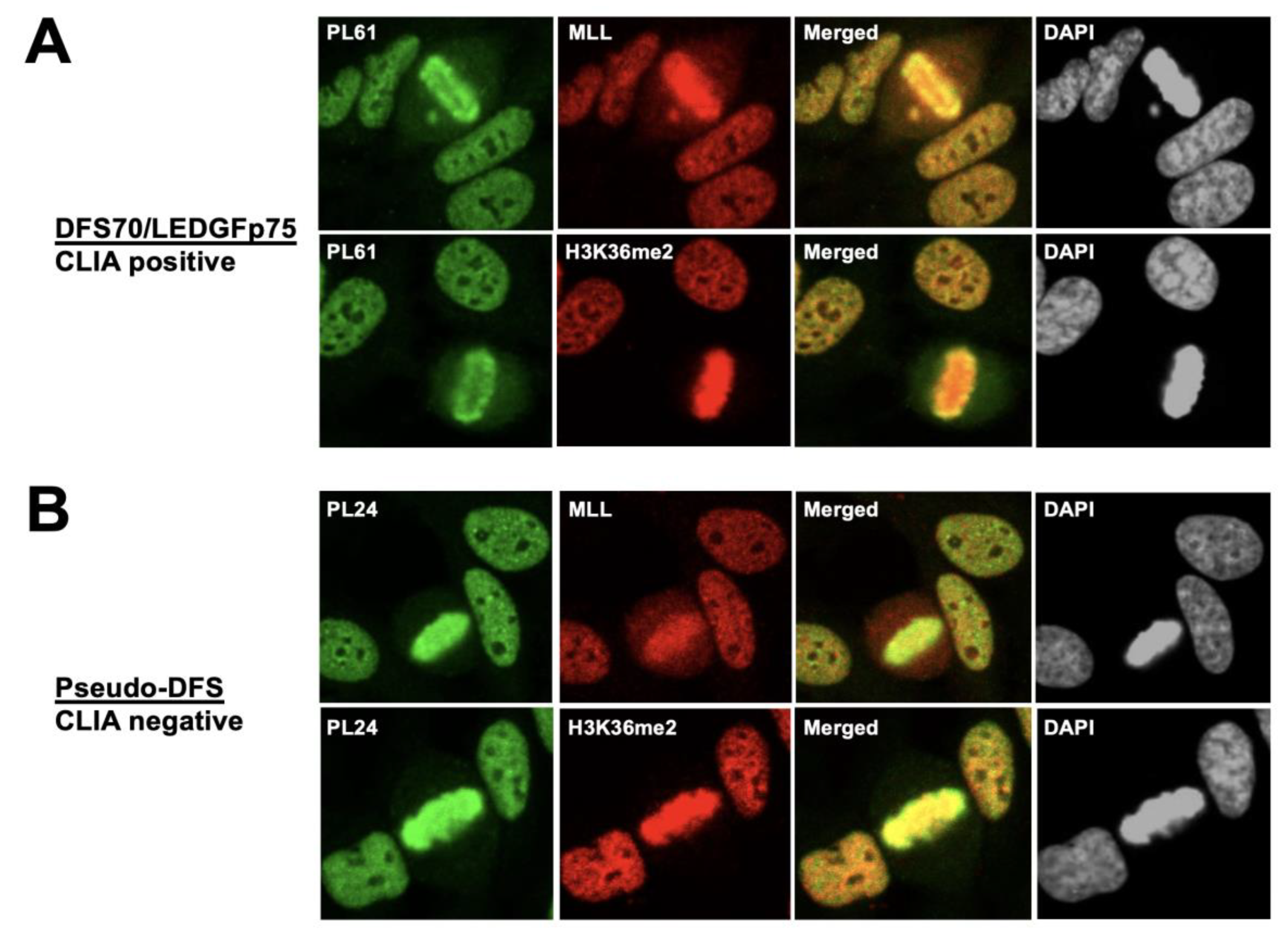 Diagnostics 13 00222 g008