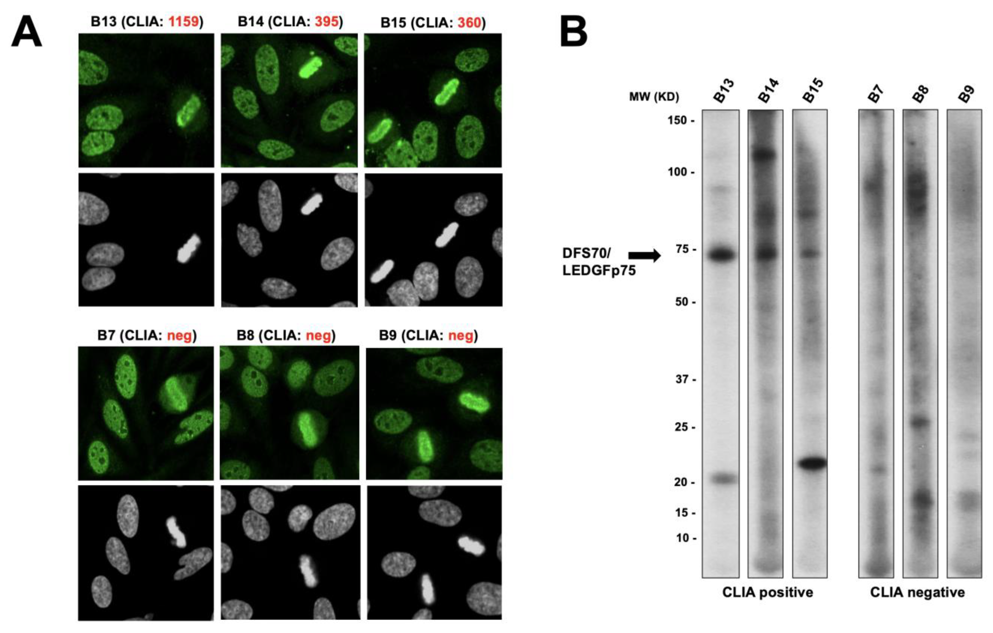 Diagnostics 13 00222 g010