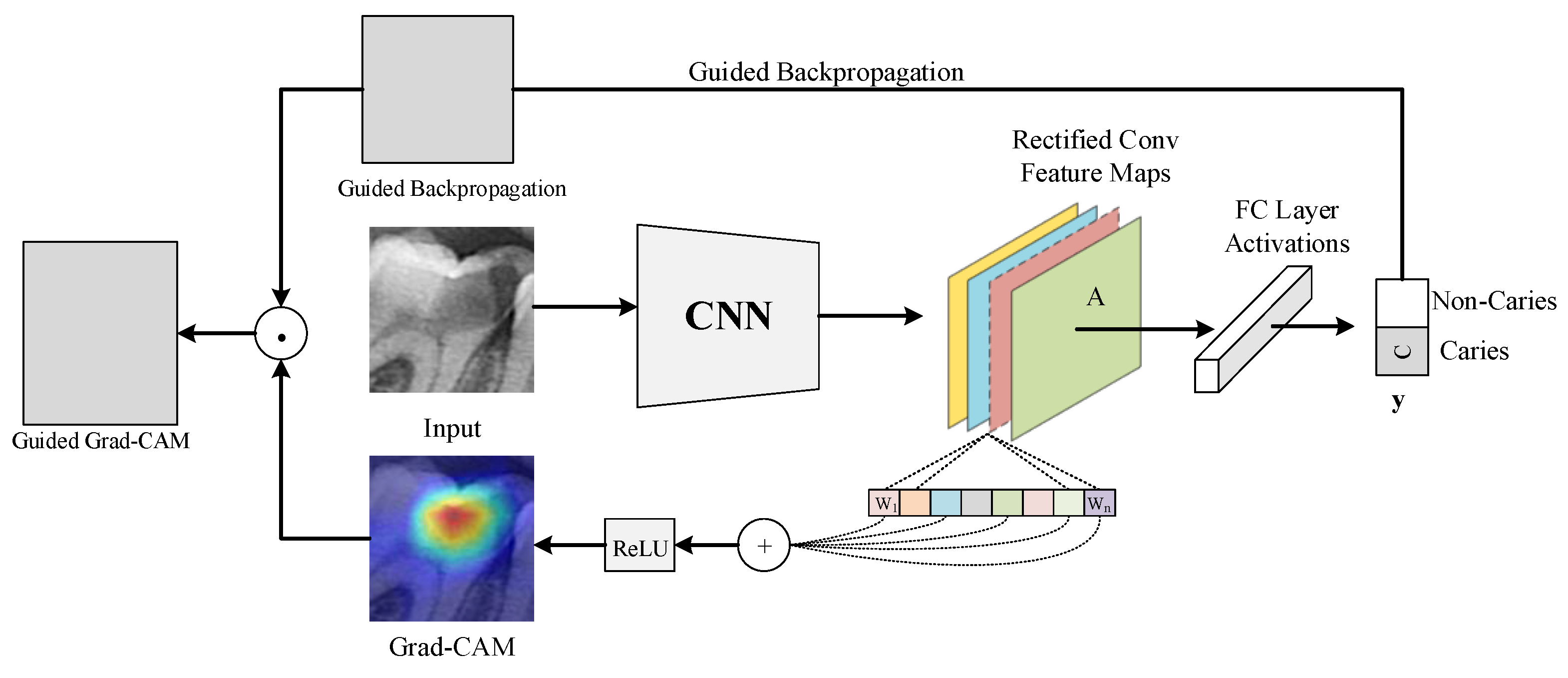 Diagnostics 13 00226 g008 Diagnostics 13 00226 g008