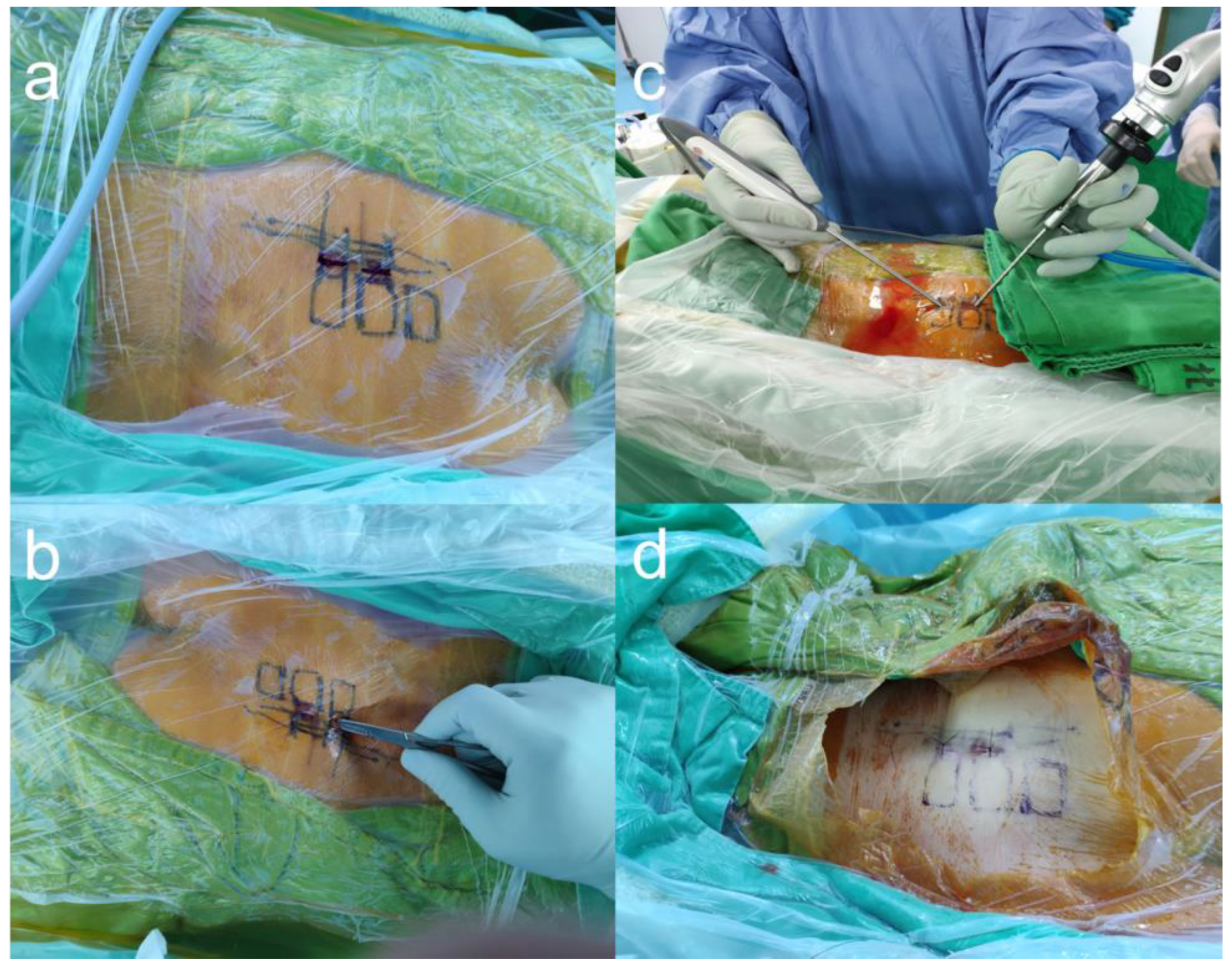 Diagnostics 13 00229 g001