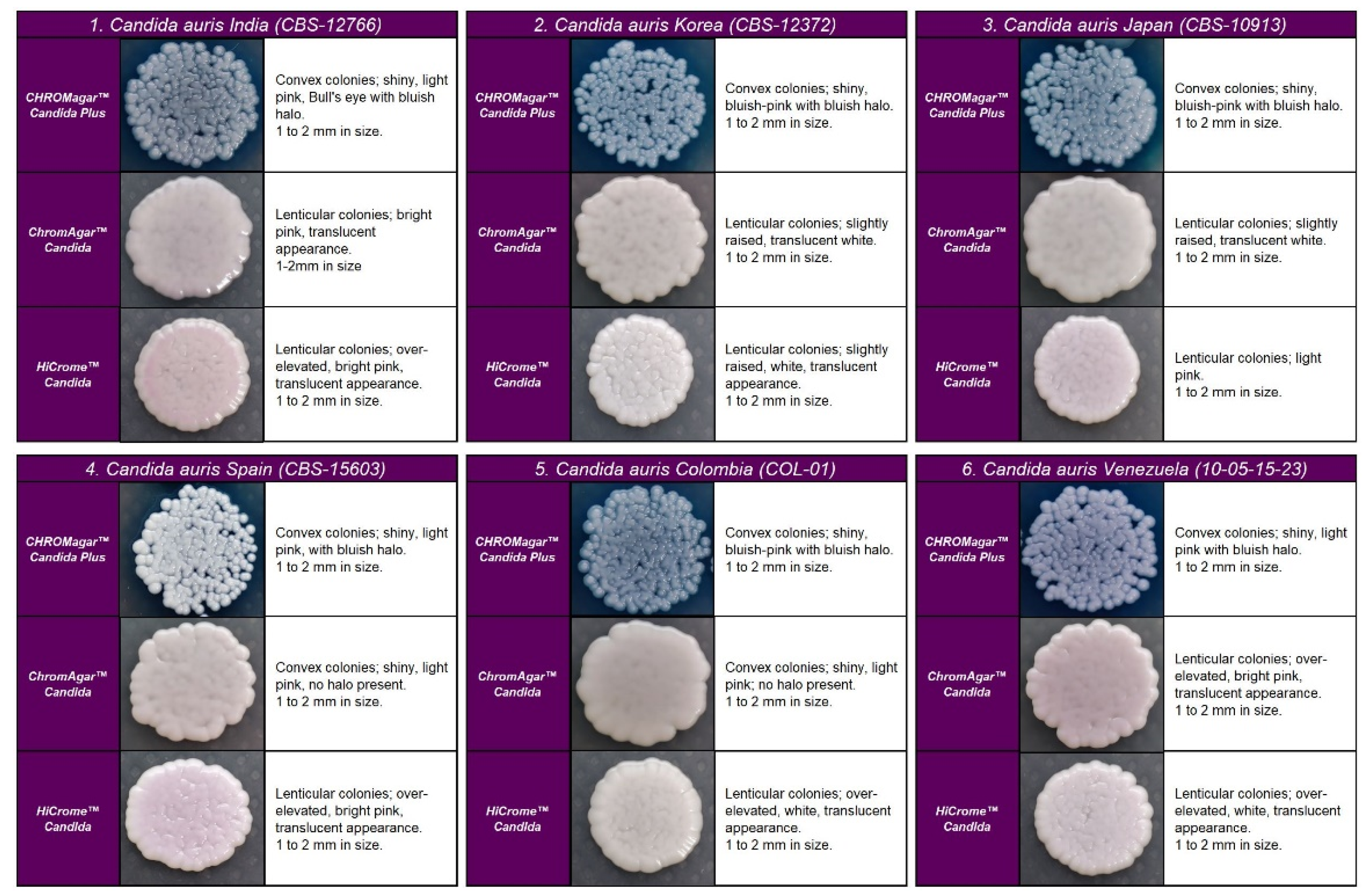Diagnostics 13 00231 g001